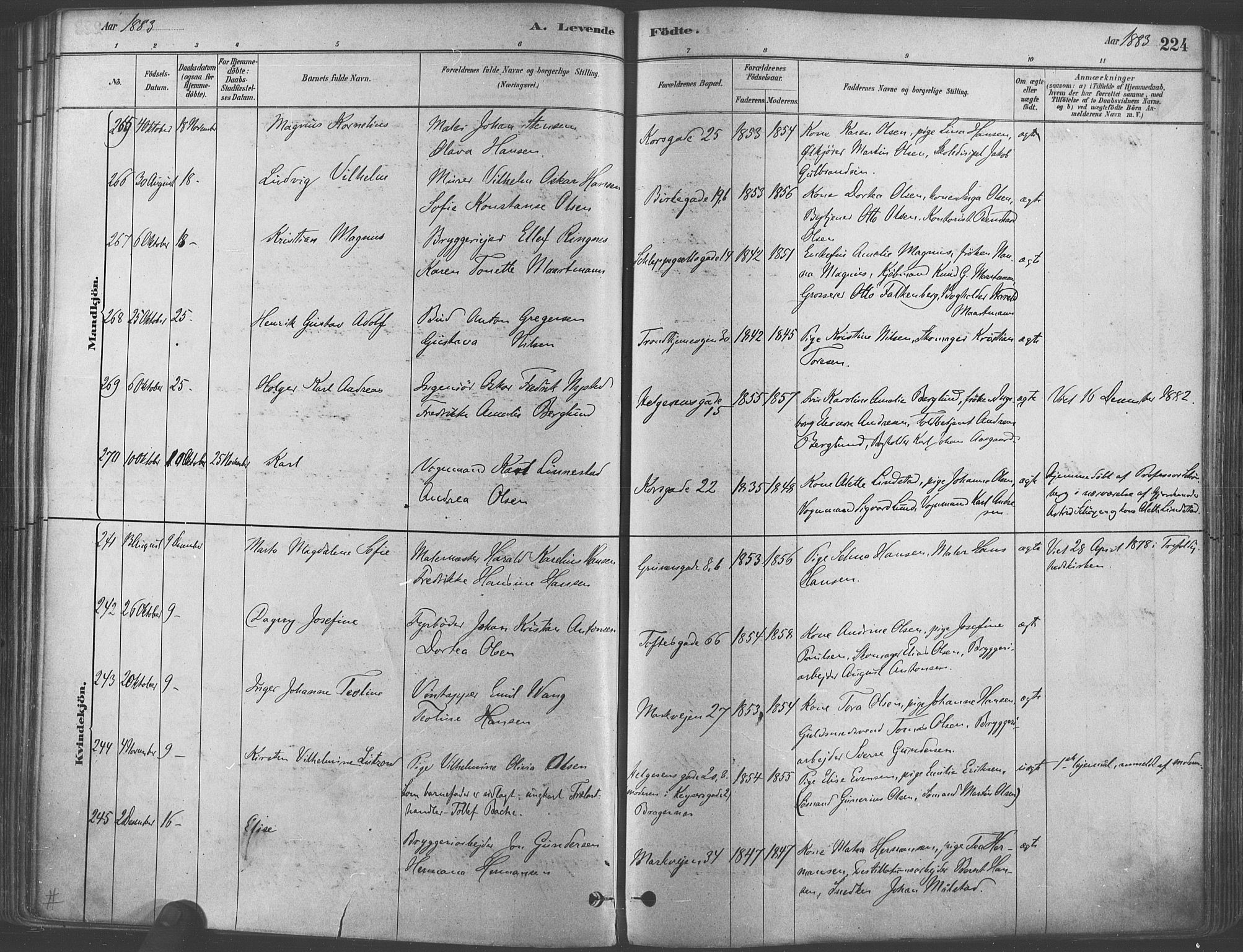 Paulus prestekontor Kirkebøker, AV/SAO-A-10871/F/Fa/L0003: Parish register (official) no. 3, 1879-1887, p. 224