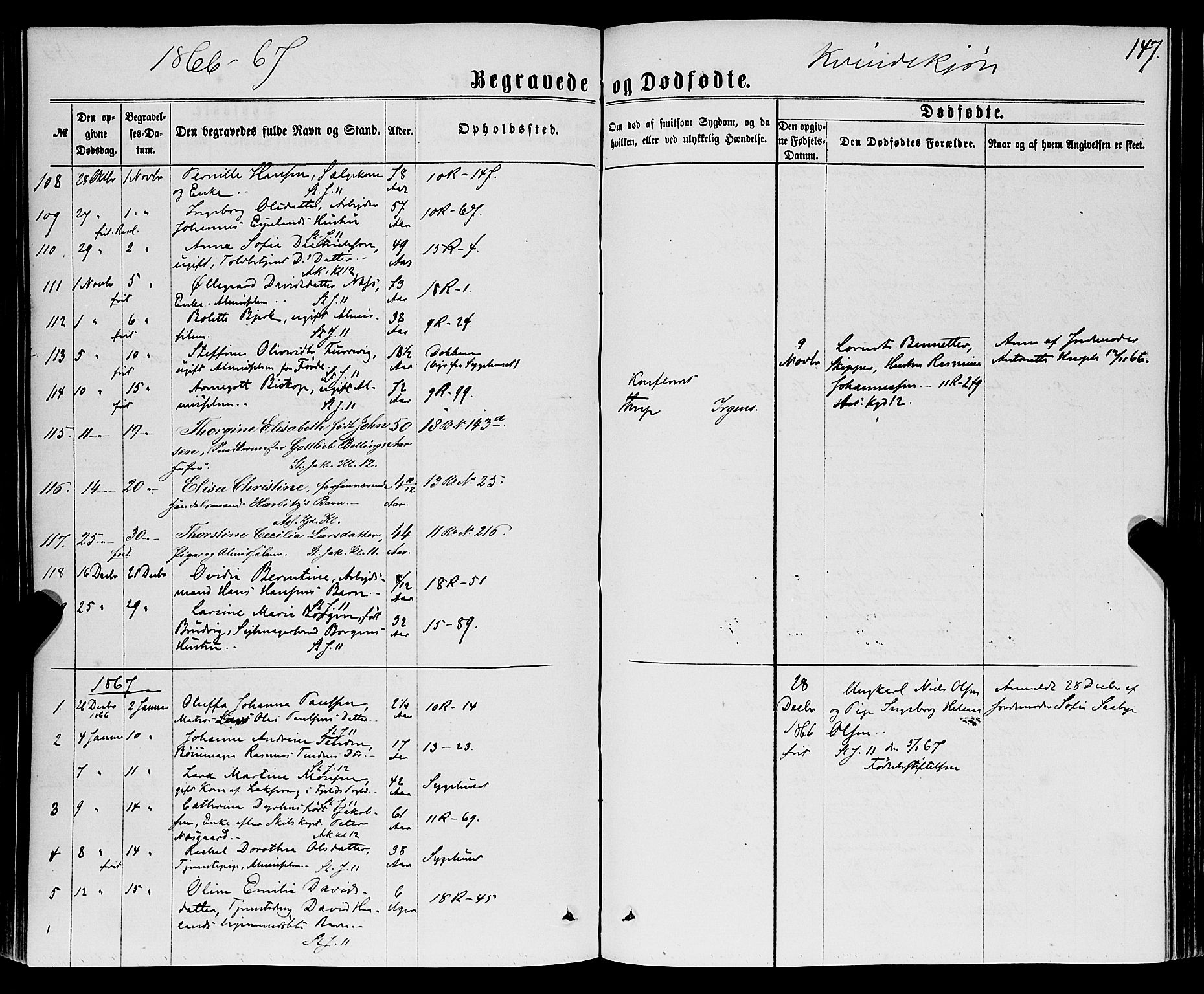 Domkirken sokneprestembete, AV/SAB-A-74801/H/Haa/L0042: Parish register (official) no. E 3, 1863-1876, p. 147