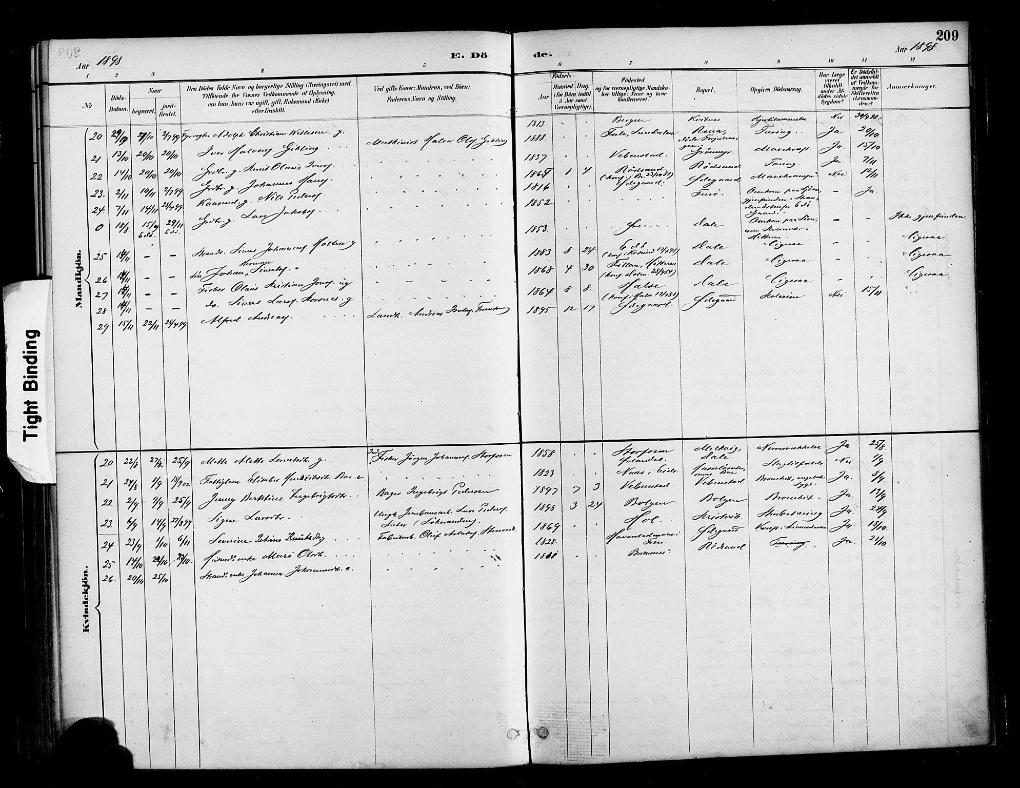 Ministerialprotokoller, klokkerbøker og fødselsregistre - Møre og Romsdal, AV/SAT-A-1454/569/L0819: Parish register (official) no. 569A05, 1885-1899, p. 209