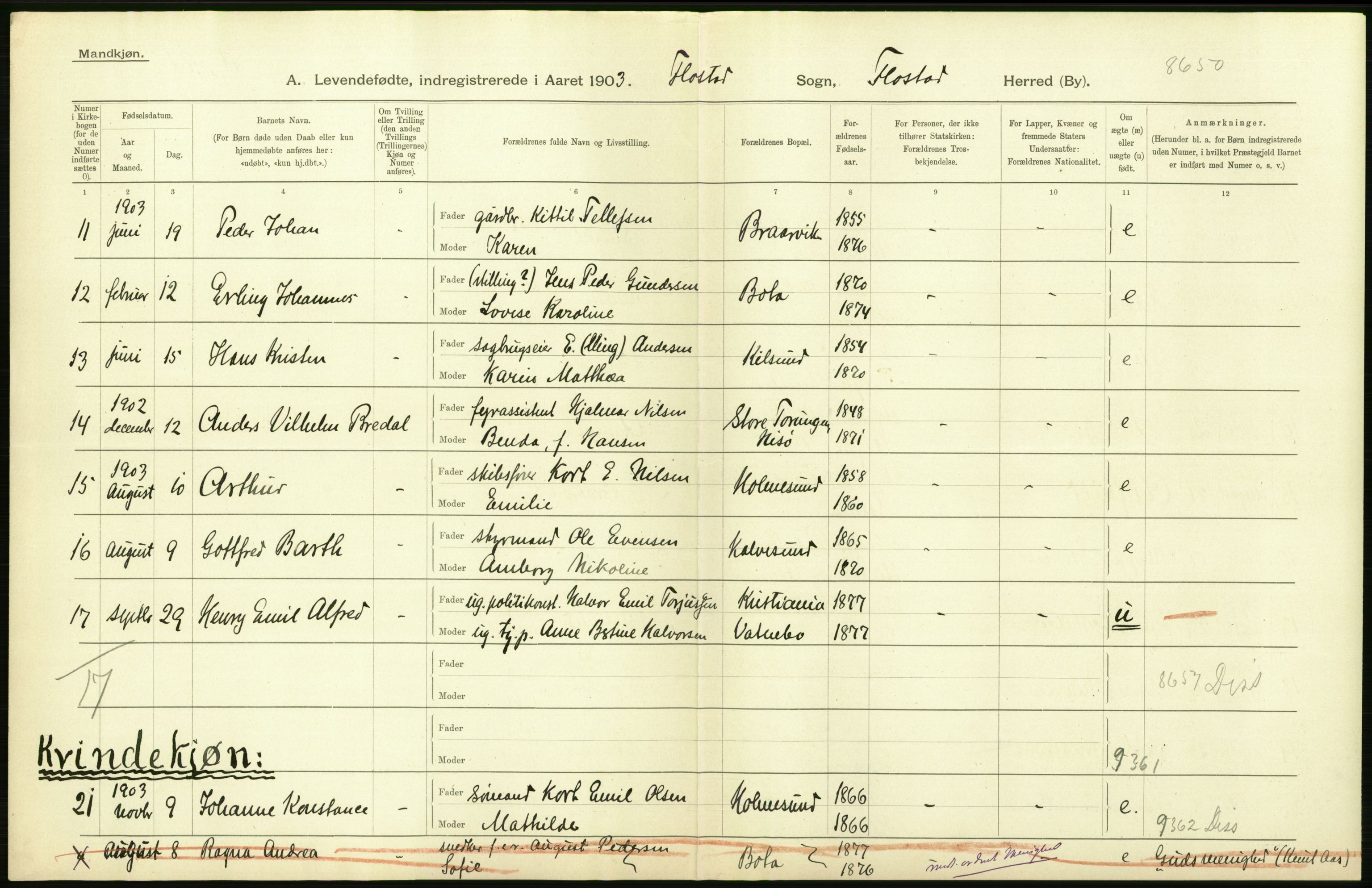 Statistisk sentralbyrå, Sosiodemografiske emner, Befolkning, RA/S-2228/D/Df/Dfa/Dfaa/L0010: Nedenes amt: Fødte, gifte, døde, 1903, p. 4