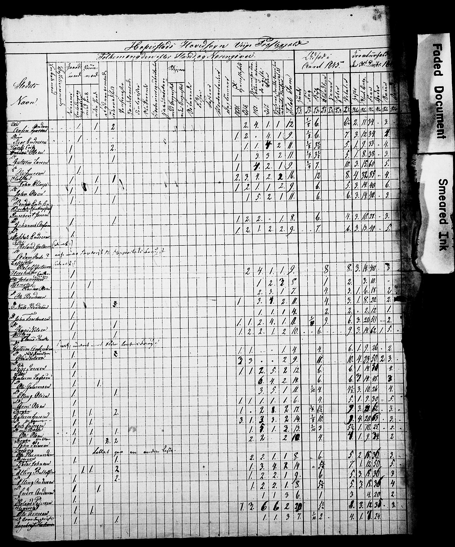 , Census 1845 for Vik, 1845, p. 9