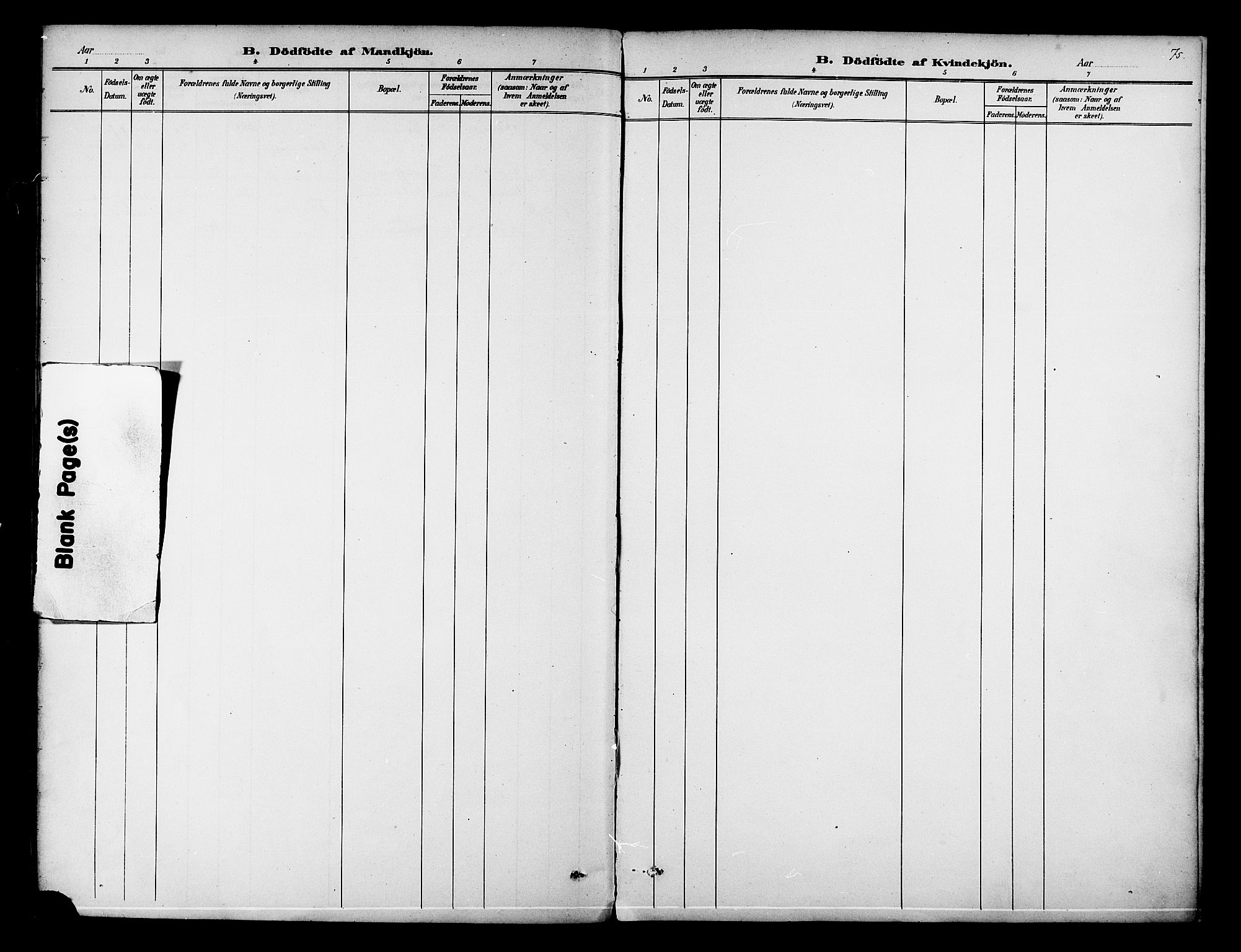 Ministerialprotokoller, klokkerbøker og fødselsregistre - Nordland, AV/SAT-A-1459/834/L0508: Parish register (official) no. 834A06, 1892-1901, p. 75