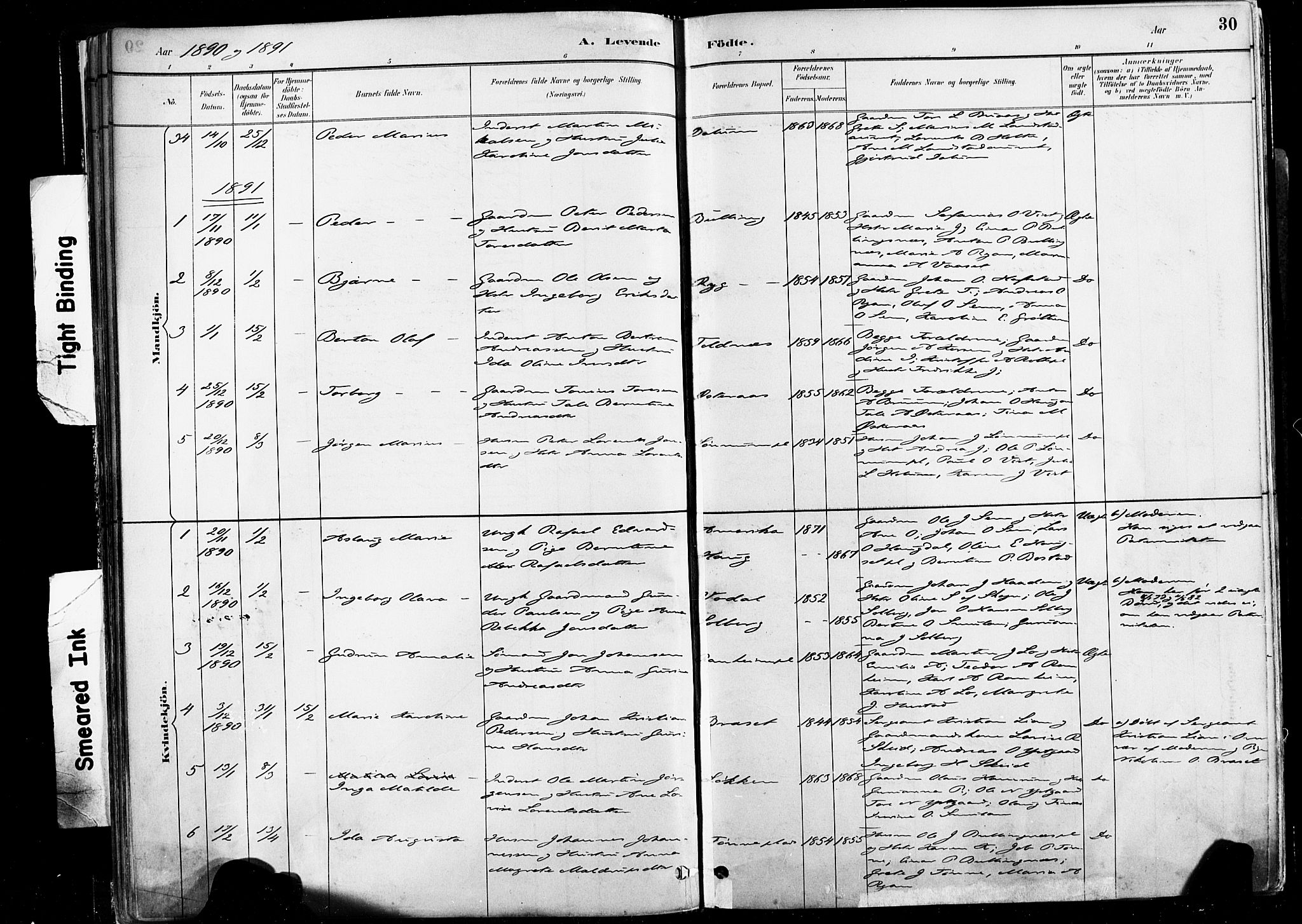 Ministerialprotokoller, klokkerbøker og fødselsregistre - Nord-Trøndelag, SAT/A-1458/735/L0351: Parish register (official) no. 735A10, 1884-1908, p. 30