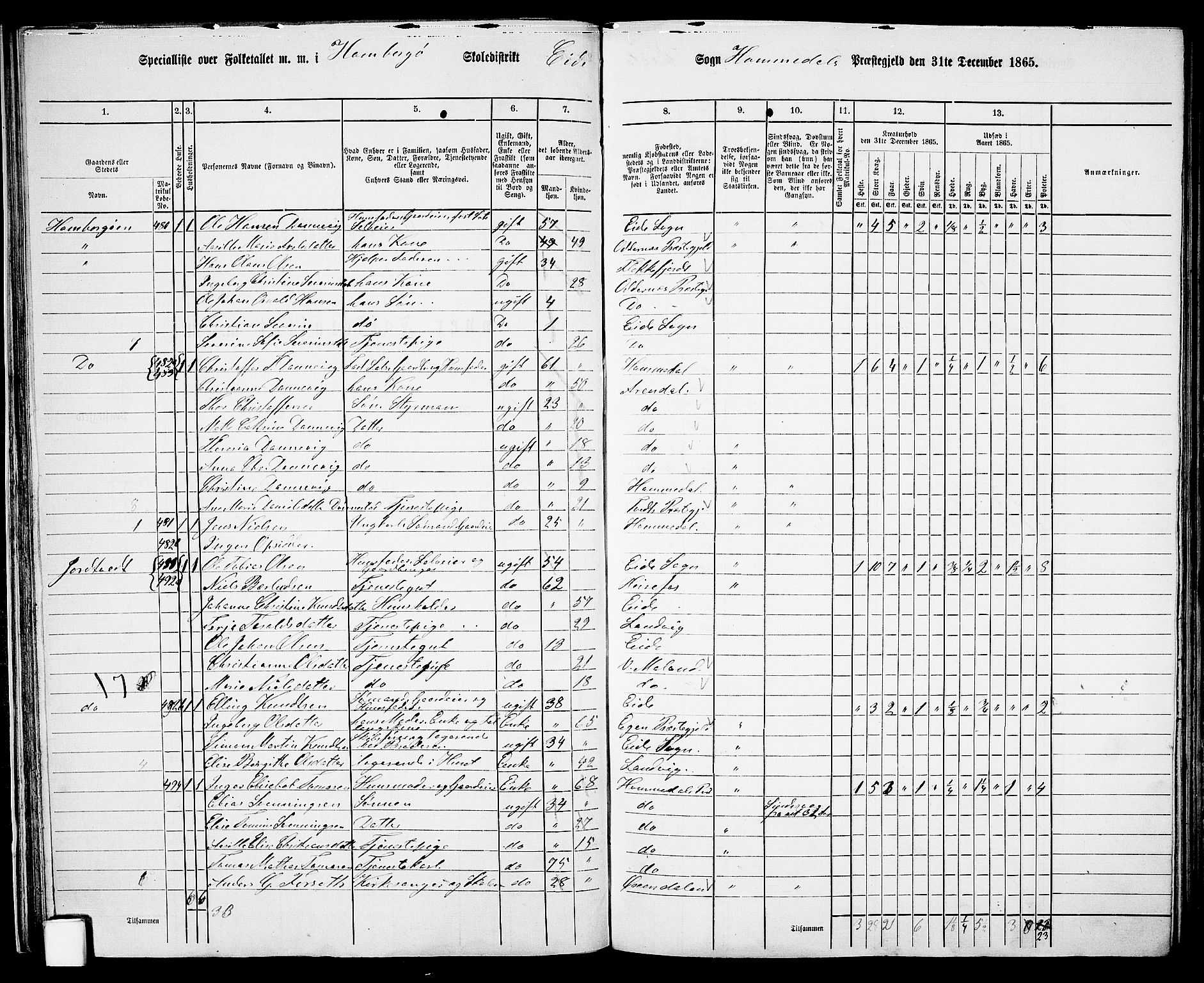 RA, 1865 census for Homedal, 1865, p. 34