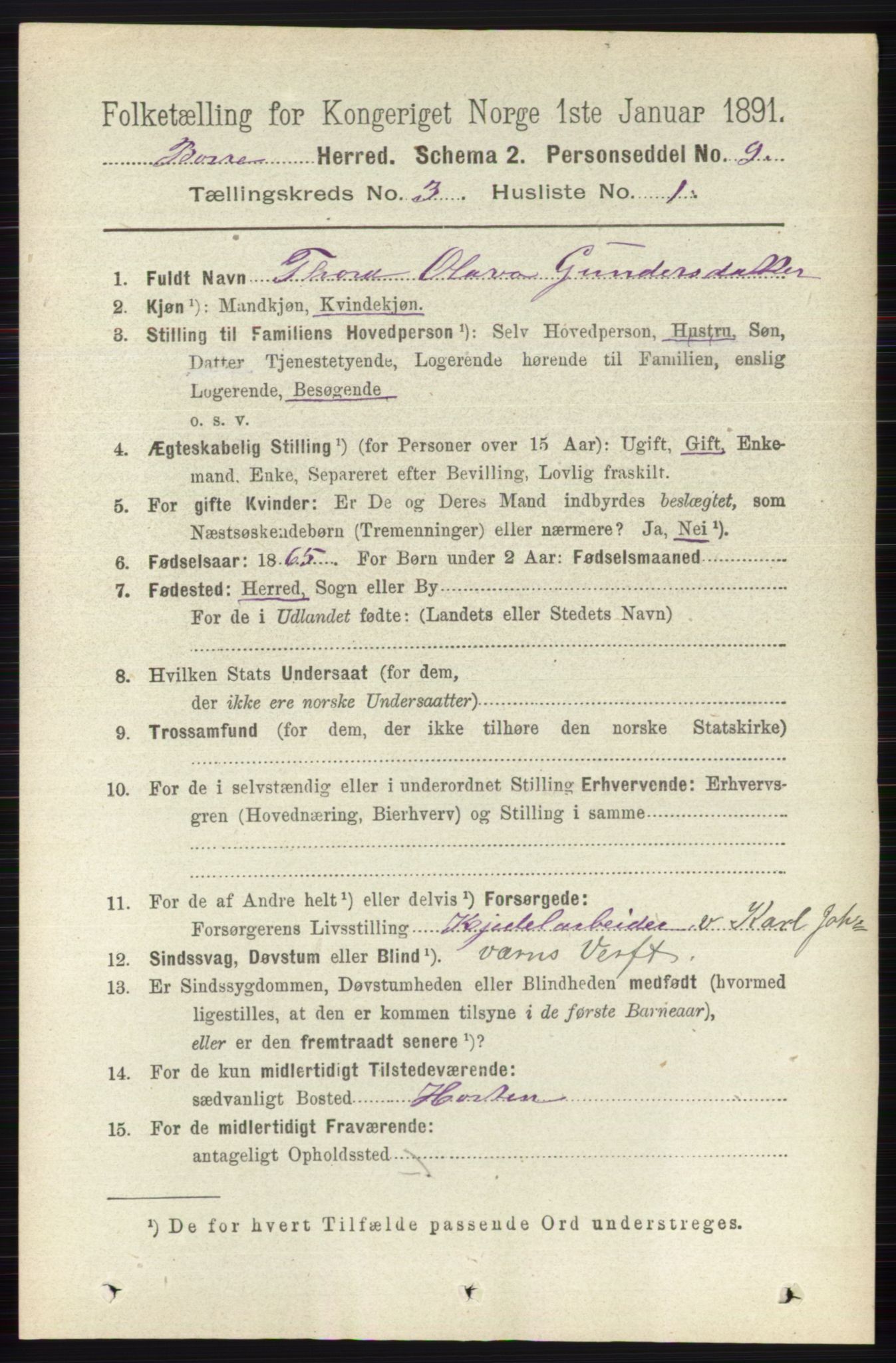 RA, 1891 census for 0717 Borre, 1891, p. 1223