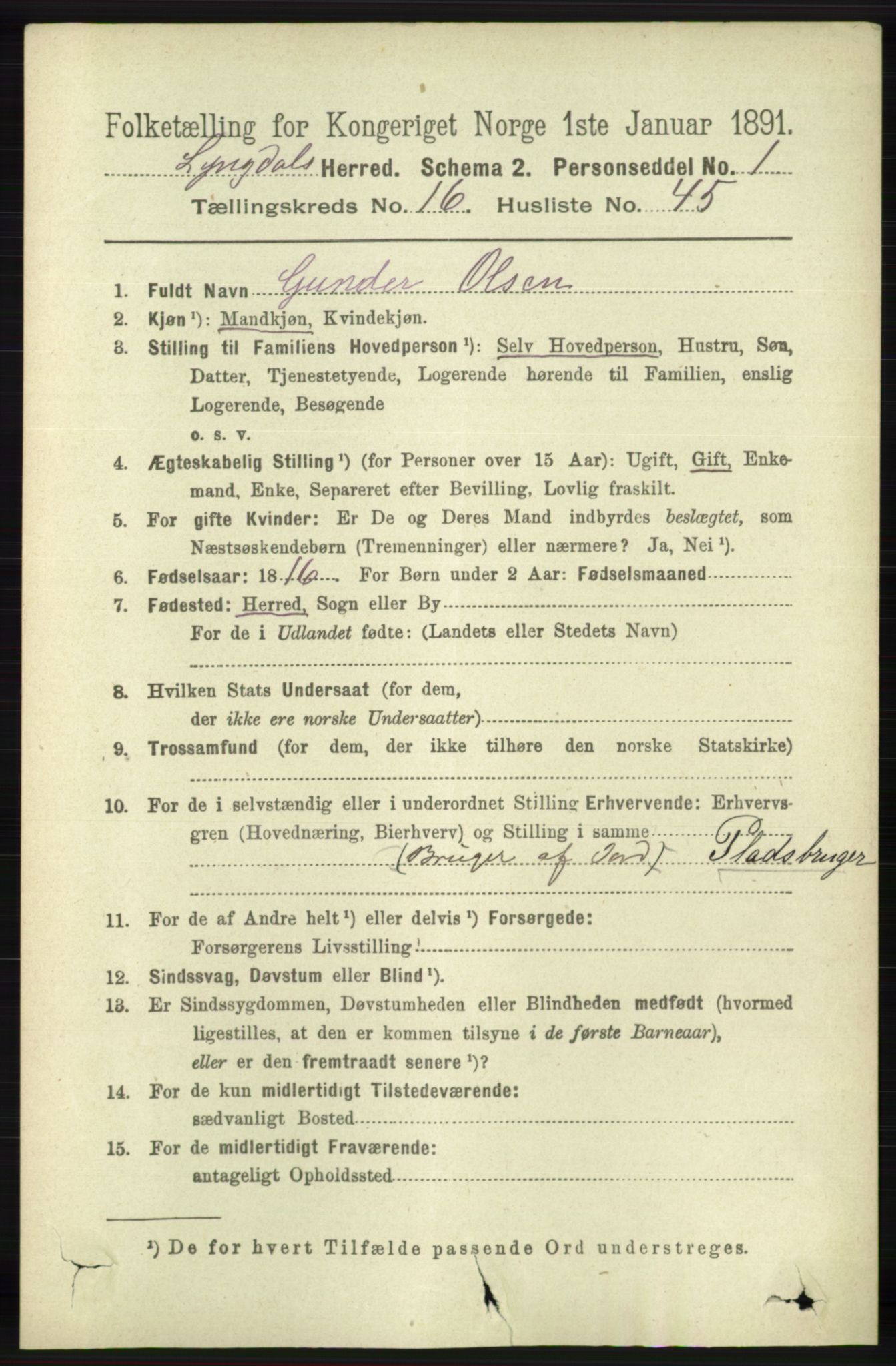 RA, 1891 census for 1032 Lyngdal, 1891, p. 6478