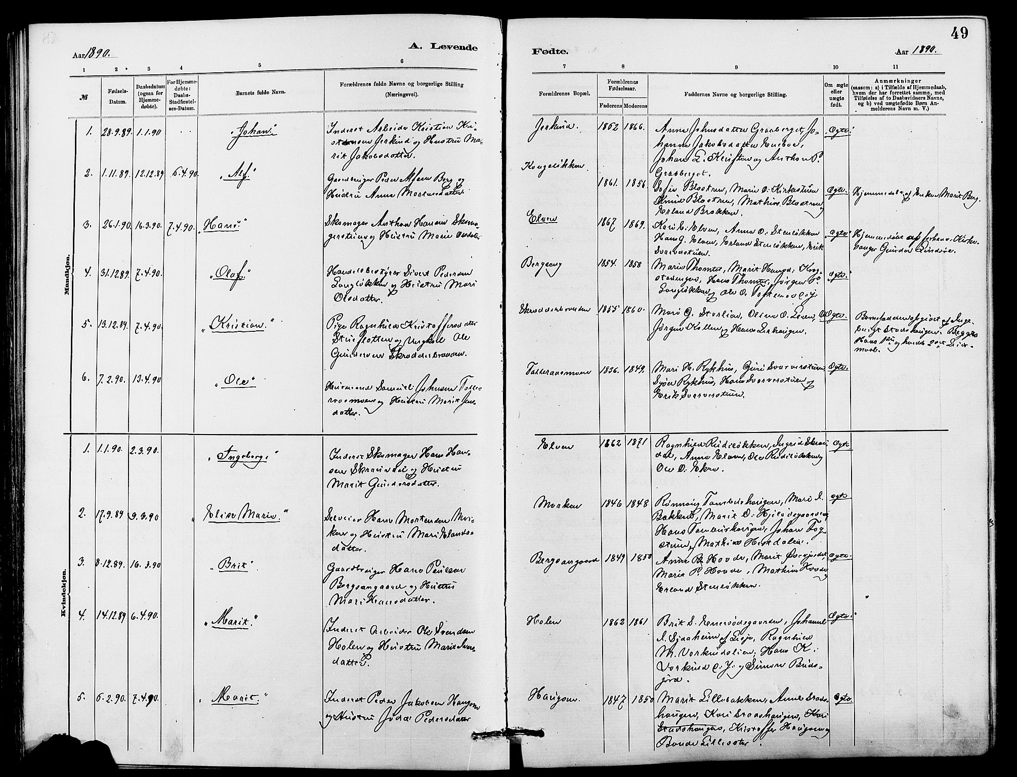 Dovre prestekontor, SAH/PREST-066/H/Ha/Hab/L0002: Parish register (copy) no. 2, 1881-1907, p. 49