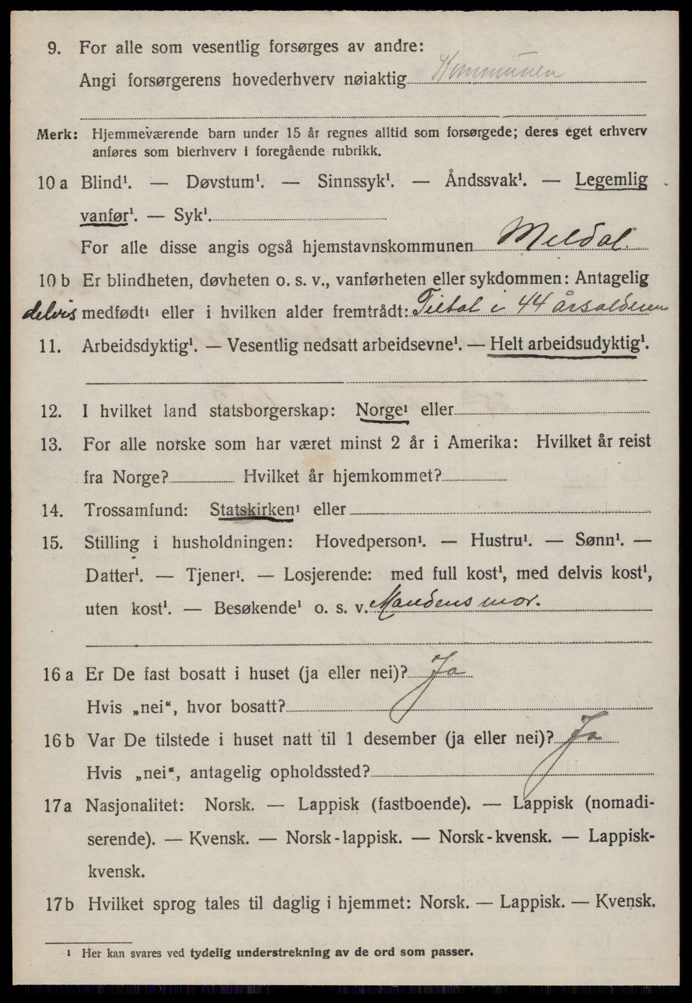 SAT, 1920 census for Meldal, 1920, p. 2020