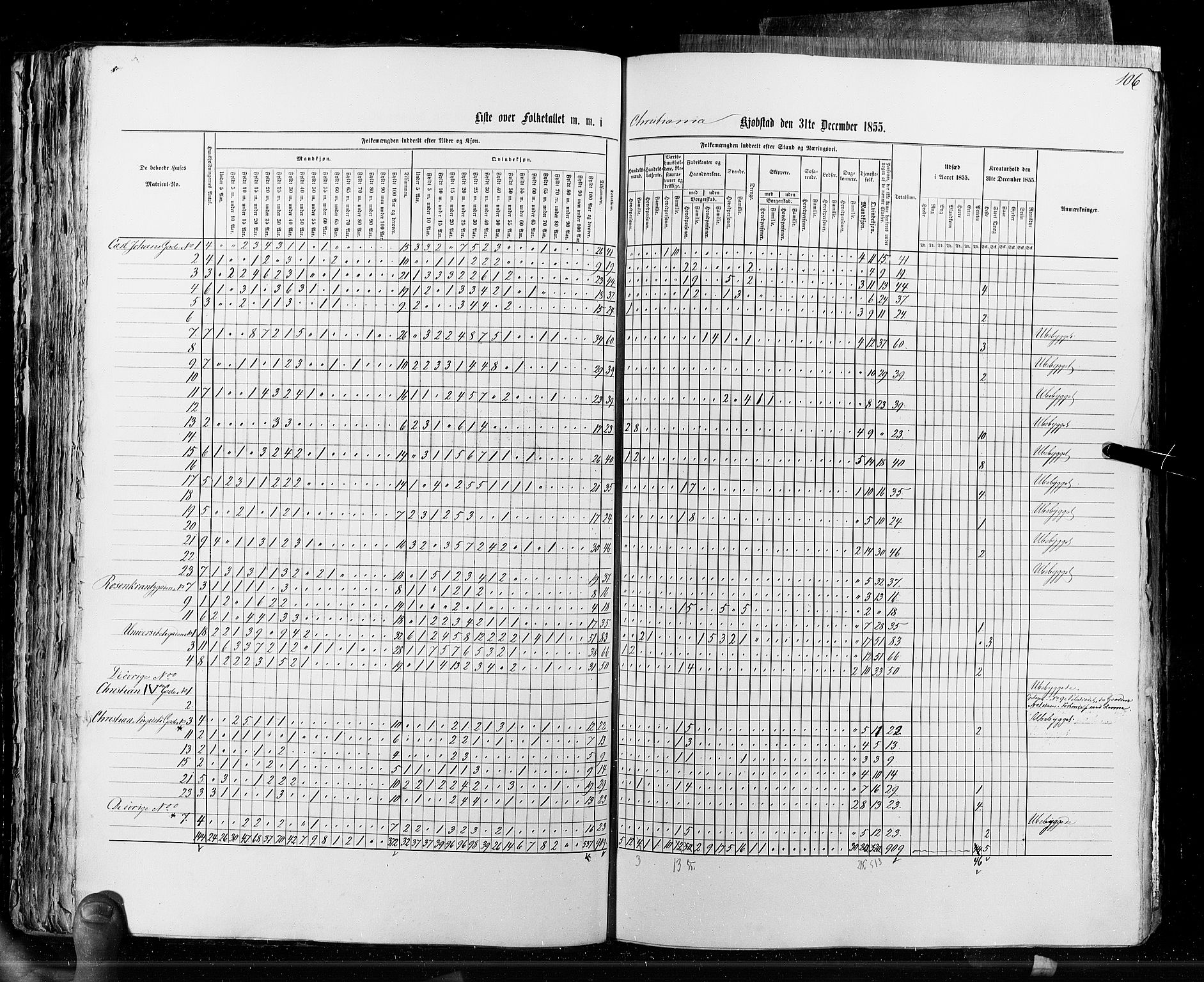 RA, Census 1855, vol. 7: Fredrikshald-Kragerø, 1855, p. 106