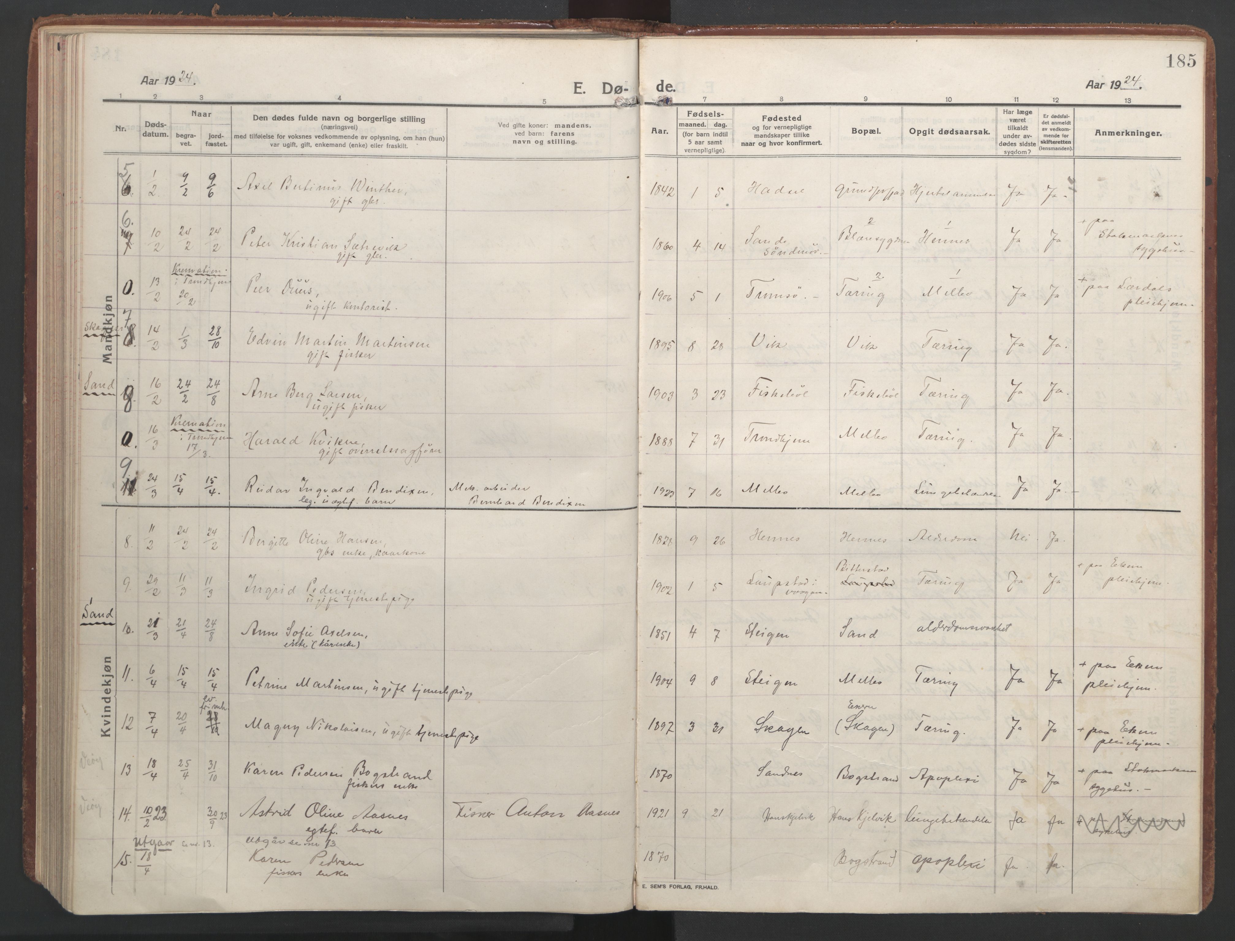 Ministerialprotokoller, klokkerbøker og fødselsregistre - Nordland, AV/SAT-A-1459/888/L1251: Parish register (official) no. 888A17, 1913-1925, p. 185