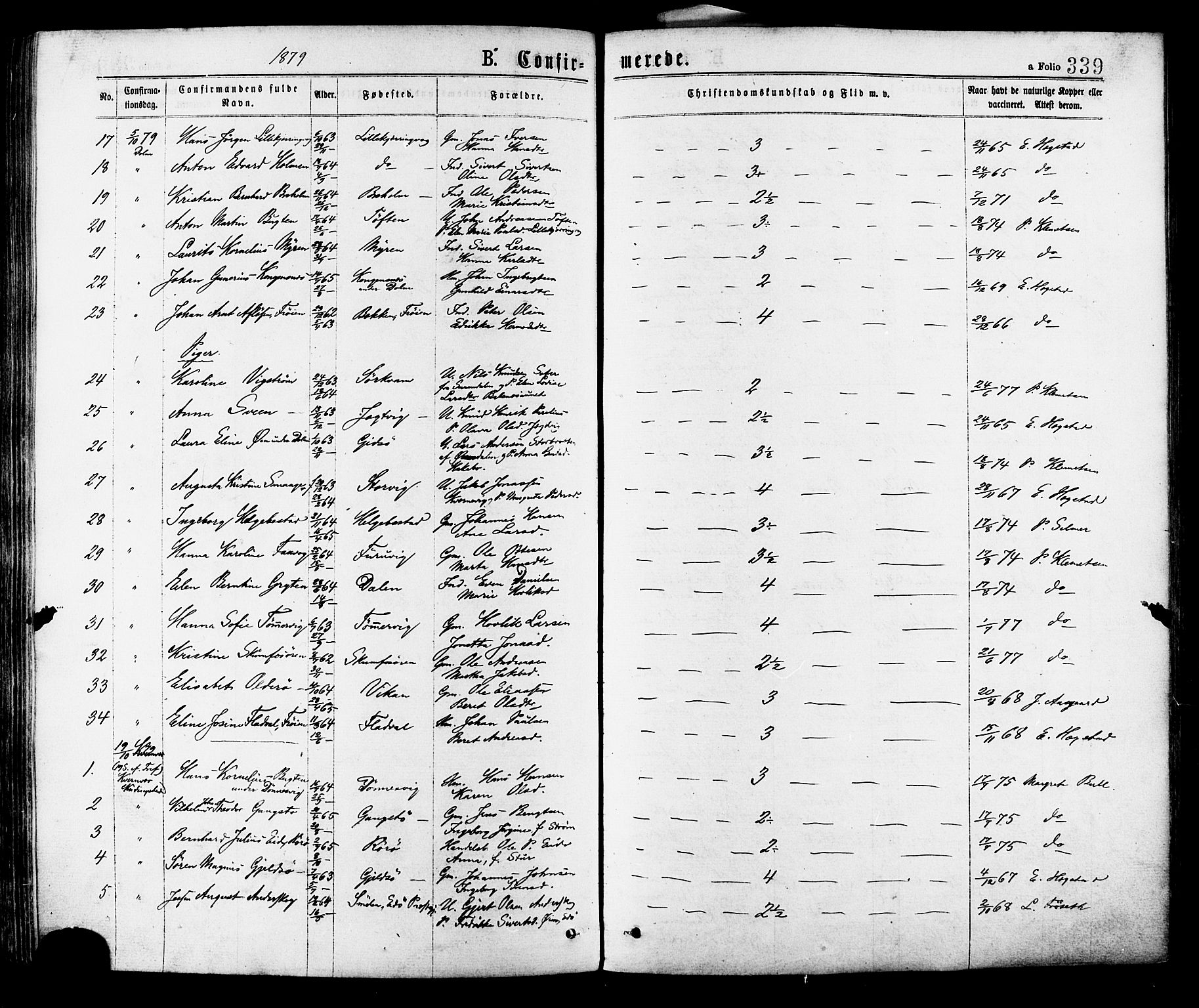 Ministerialprotokoller, klokkerbøker og fødselsregistre - Sør-Trøndelag, AV/SAT-A-1456/634/L0532: Parish register (official) no. 634A08, 1871-1881, p. 339