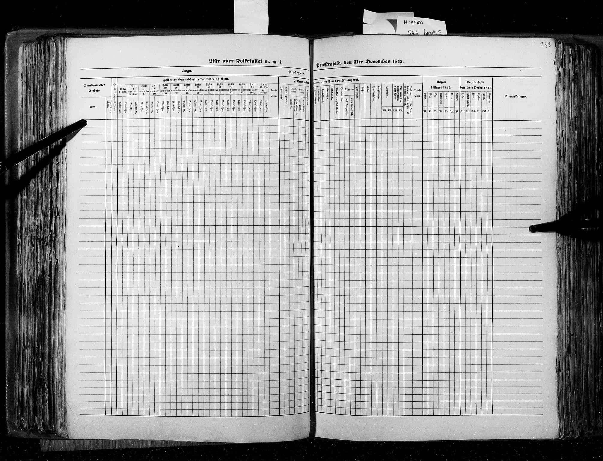 RA, Census 1845, vol. 8: Romsdal amt og Søndre Trondhjems amt, 1845, p. 243