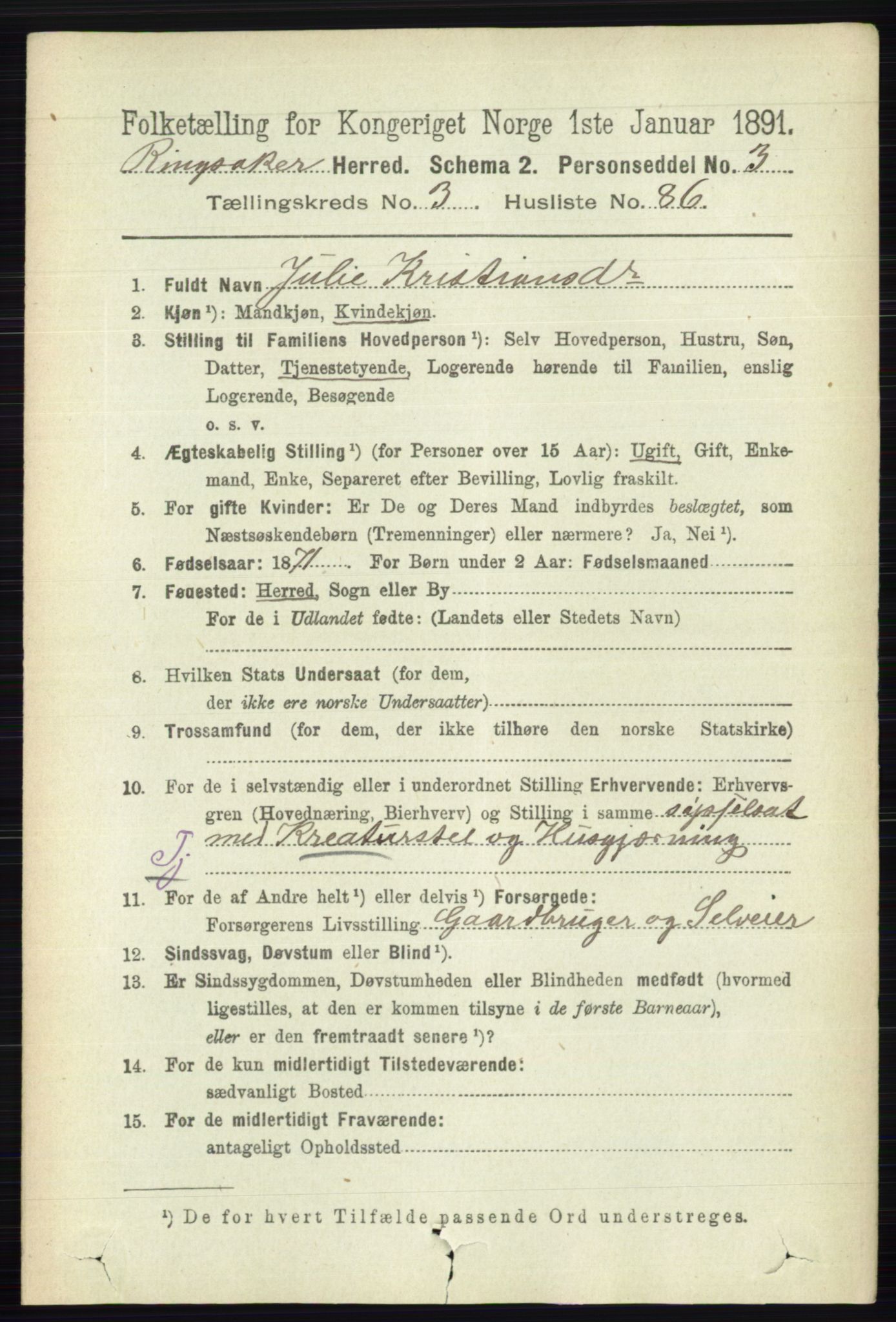 RA, 1891 census for 0412 Ringsaker, 1891, p. 1676
