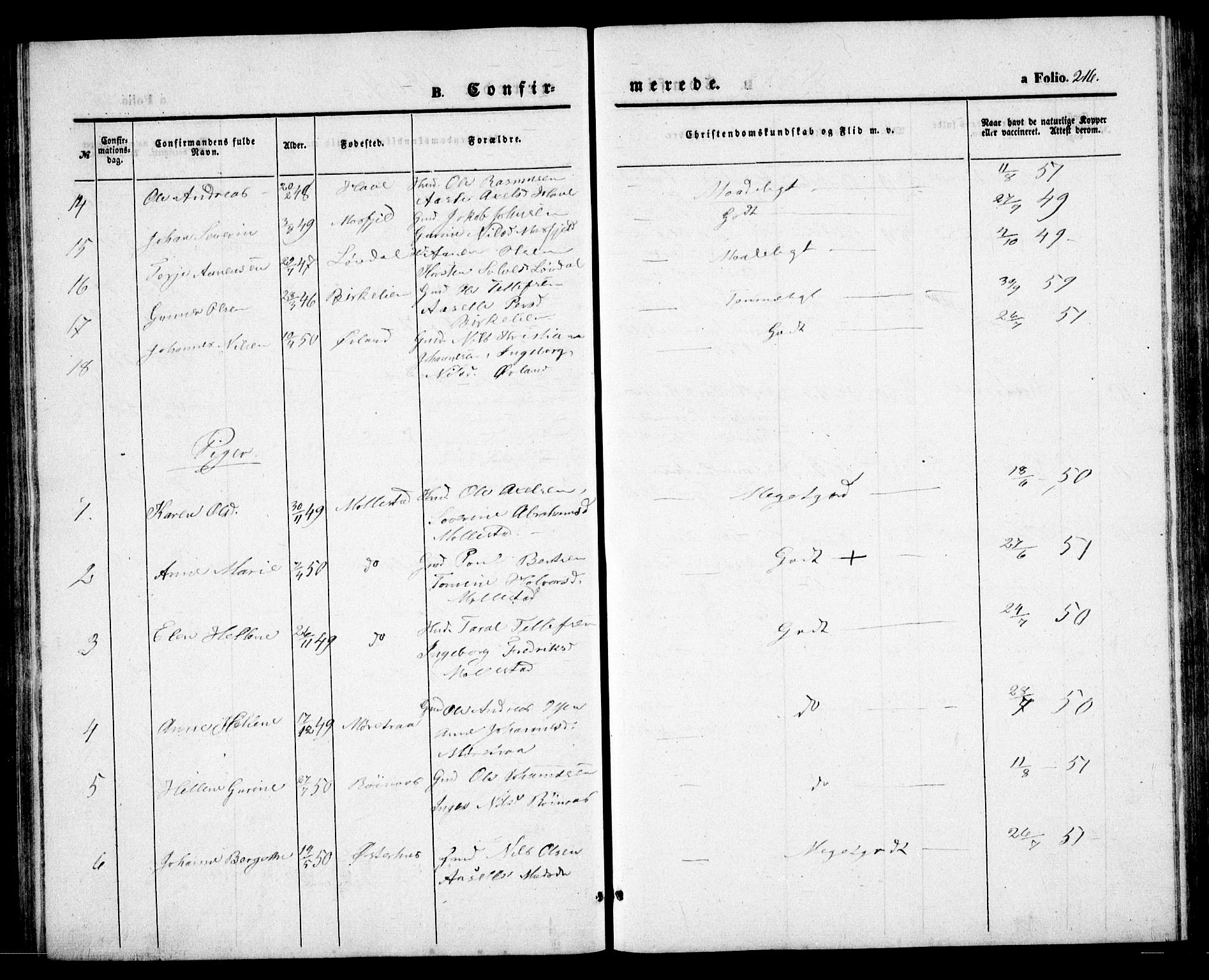 Birkenes sokneprestkontor, AV/SAK-1111-0004/F/Fb/L0002: Parish register (copy) no. B 2, 1849-1876, p. 216