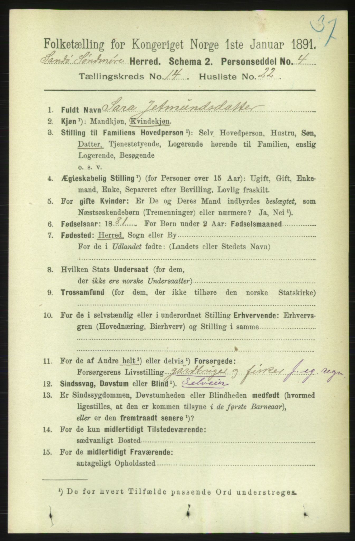 RA, 1891 census for 1514 Sande, 1891, p. 2964