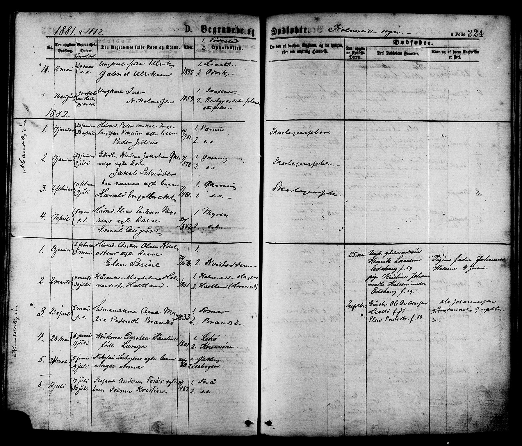 Ministerialprotokoller, klokkerbøker og fødselsregistre - Nord-Trøndelag, SAT/A-1458/780/L0642: Parish register (official) no. 780A07 /1, 1874-1885, p. 324