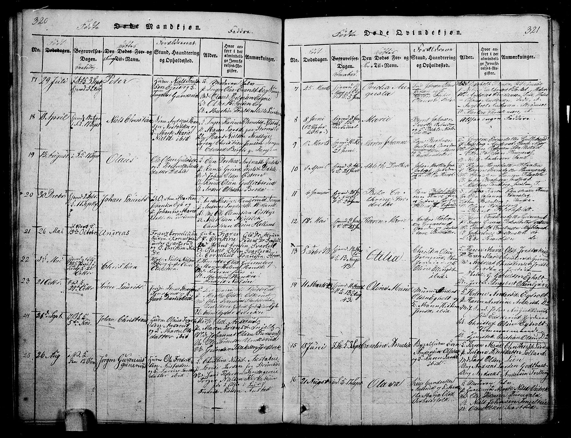 Skoger kirkebøker, AV/SAKO-A-59/G/Ga/L0001: Parish register (copy) no. I 1, 1814-1845, p. 320-321