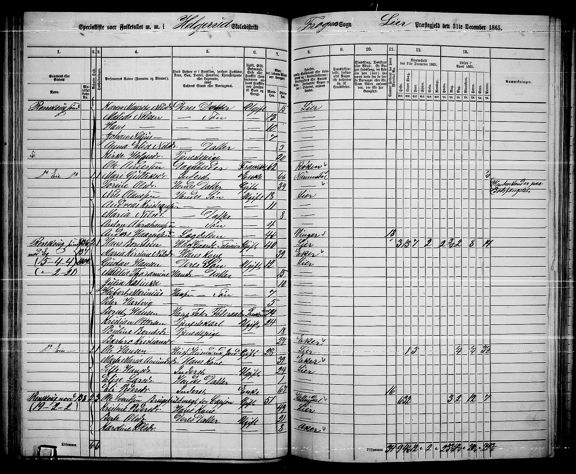 RA, 1865 census for Lier, 1865, p. 78