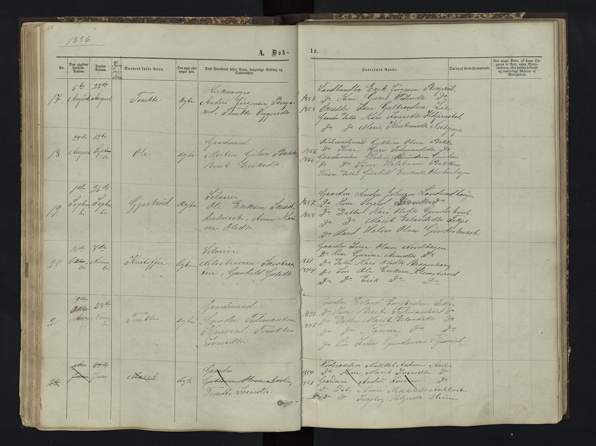 Sør-Aurdal prestekontor, SAH/PREST-128/H/Ha/Hab/L0004: Parish register (copy) no. 4, 1865-1893, p. 55