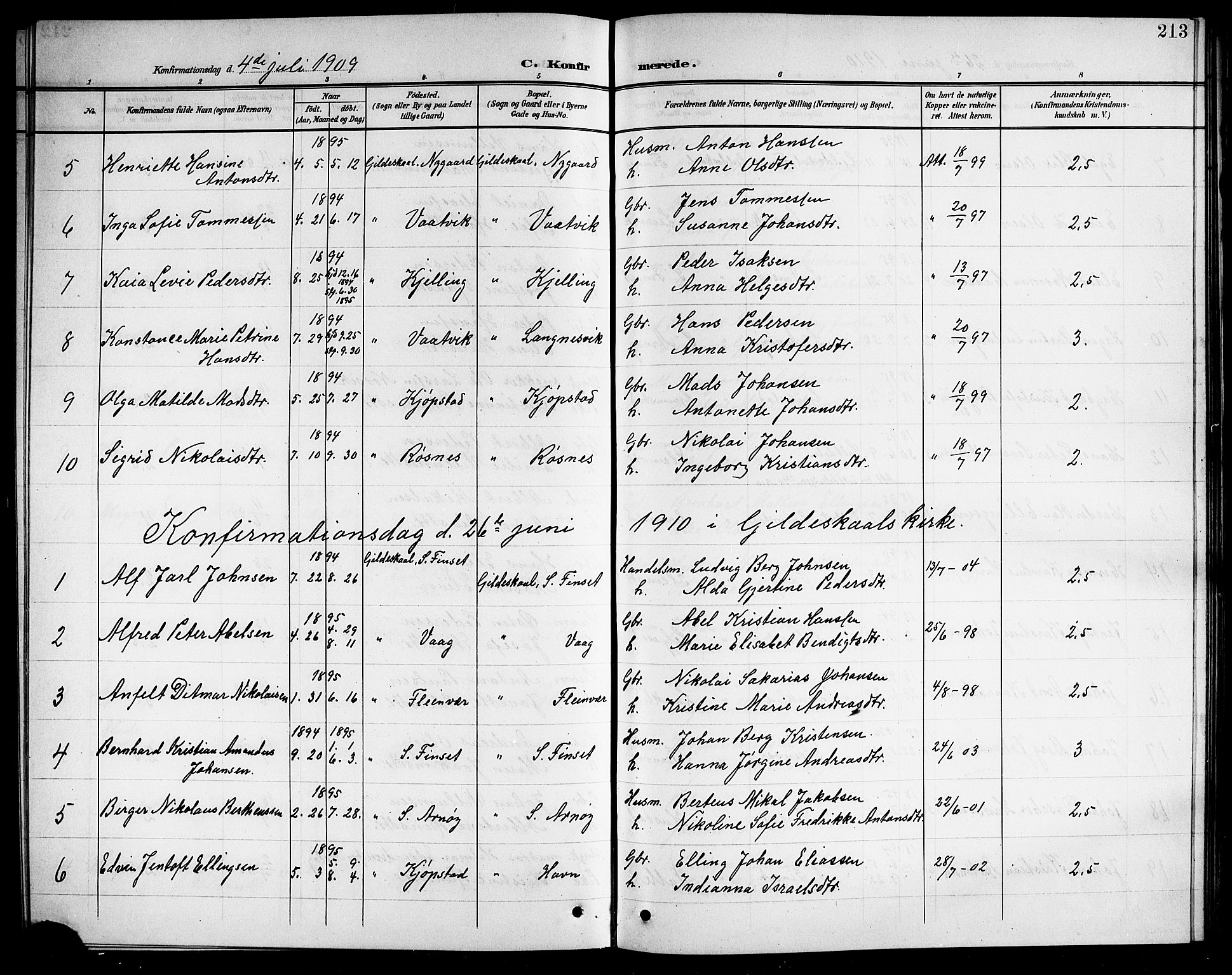 Ministerialprotokoller, klokkerbøker og fødselsregistre - Nordland, AV/SAT-A-1459/805/L0109: Parish register (copy) no. 805C05, 1900-1911, p. 213