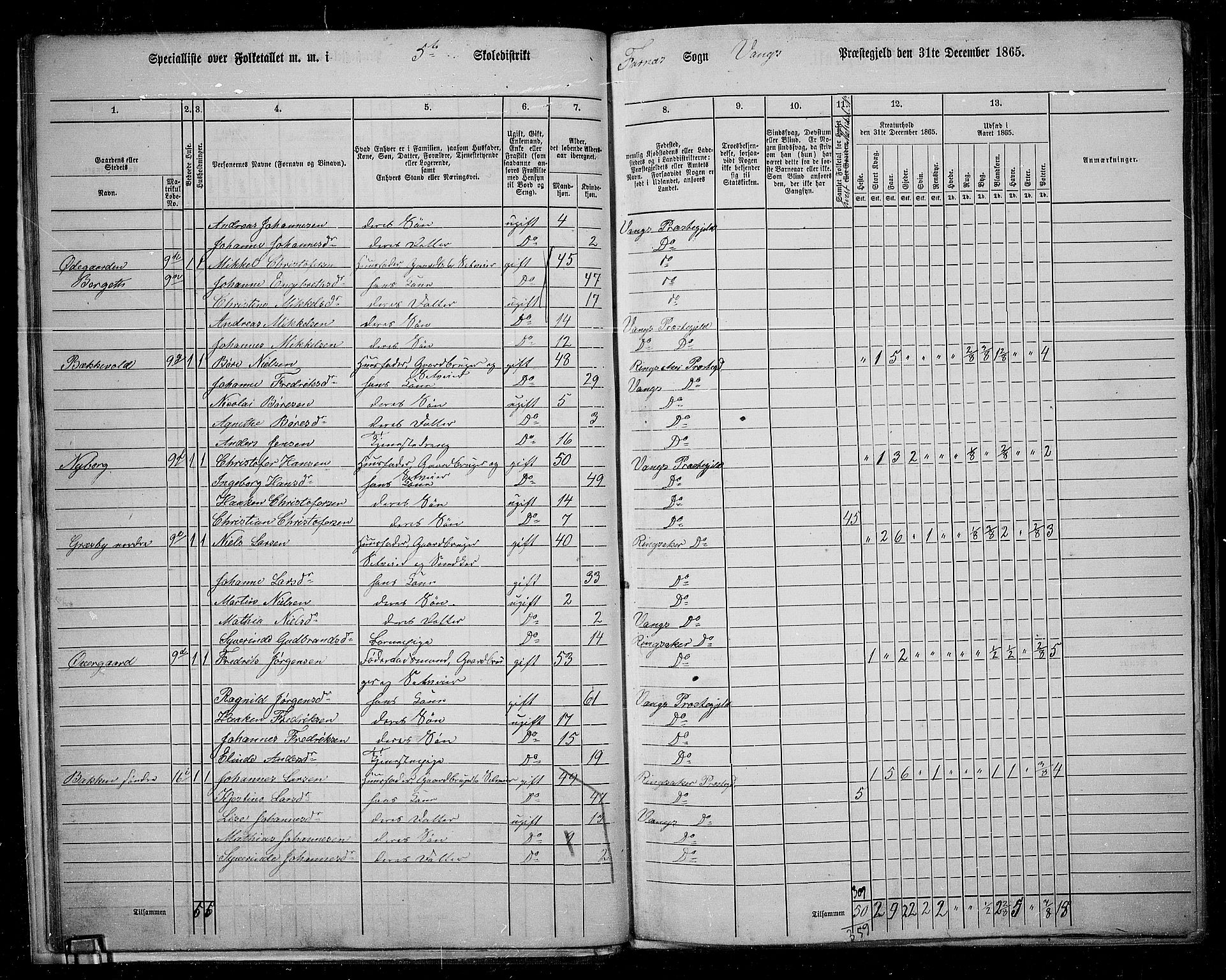 RA, 1865 census for Vang/Vang og Furnes, 1865, p. 25