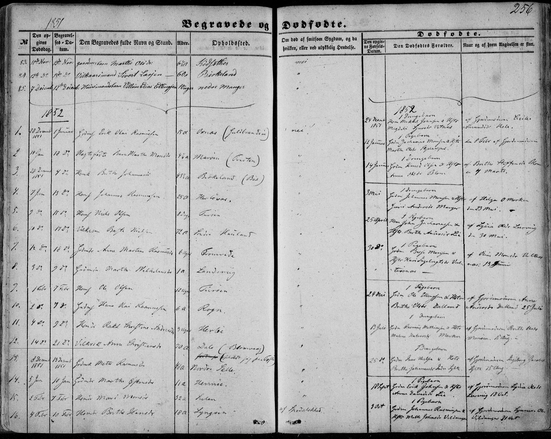 Manger sokneprestembete, SAB/A-76801/H/Haa: Parish register (official) no. A 6, 1849-1859, p. 256