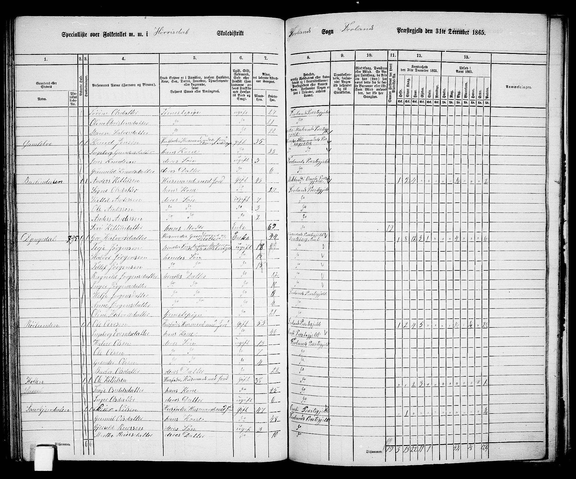 RA, 1865 census for Froland, 1865, p. 73