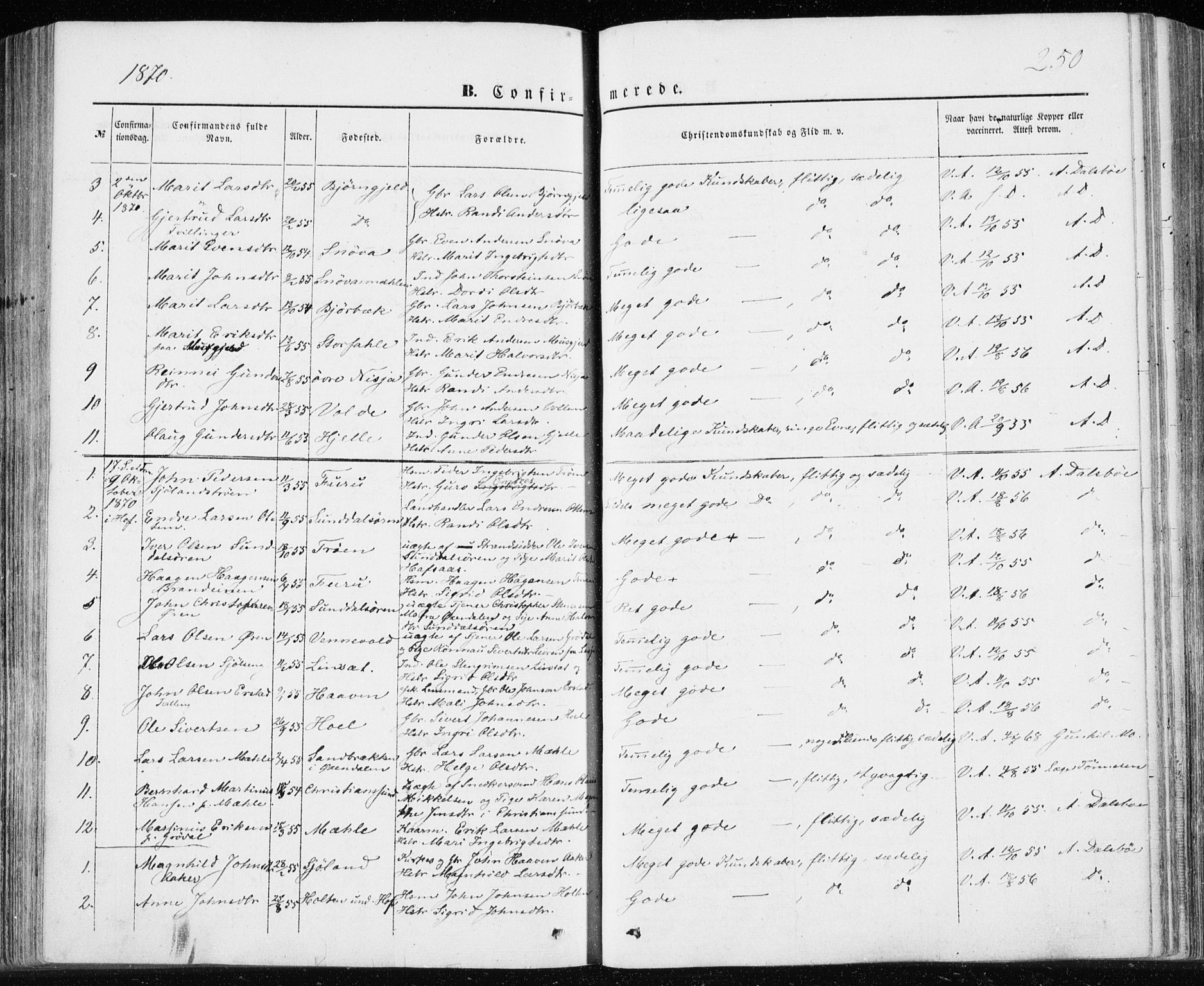 Ministerialprotokoller, klokkerbøker og fødselsregistre - Møre og Romsdal, SAT/A-1454/590/L1013: Parish register (official) no. 590A05, 1847-1877, p. 250