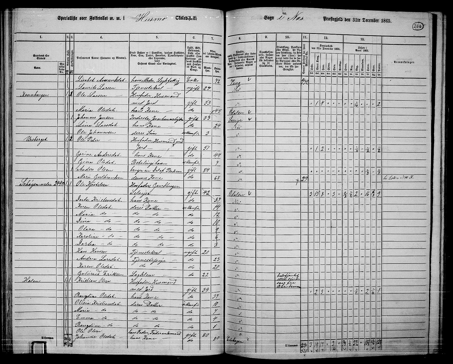 RA, 1865 census for Nes, 1865, p. 249