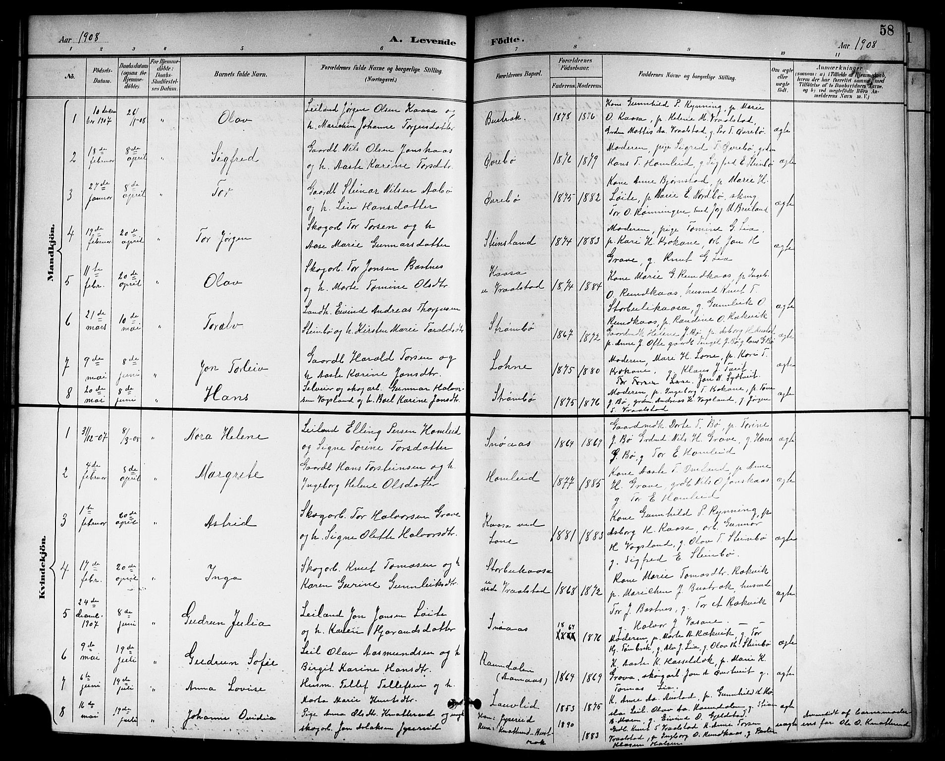 Drangedal kirkebøker, SAKO/A-258/G/Gb/L0002: Parish register (copy) no. II 2, 1895-1918, p. 58