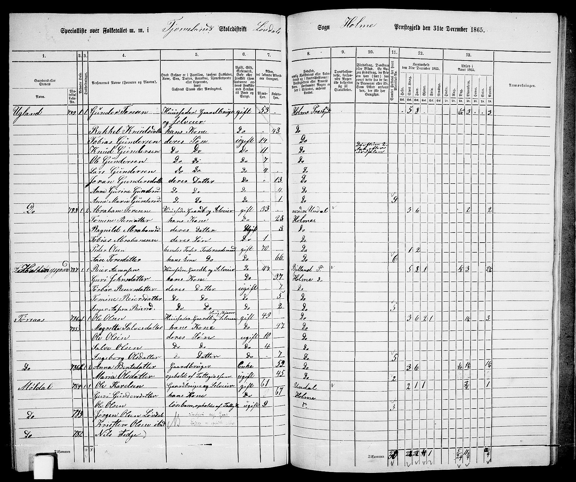 RA, 1865 census for Holum, 1865, p. 149