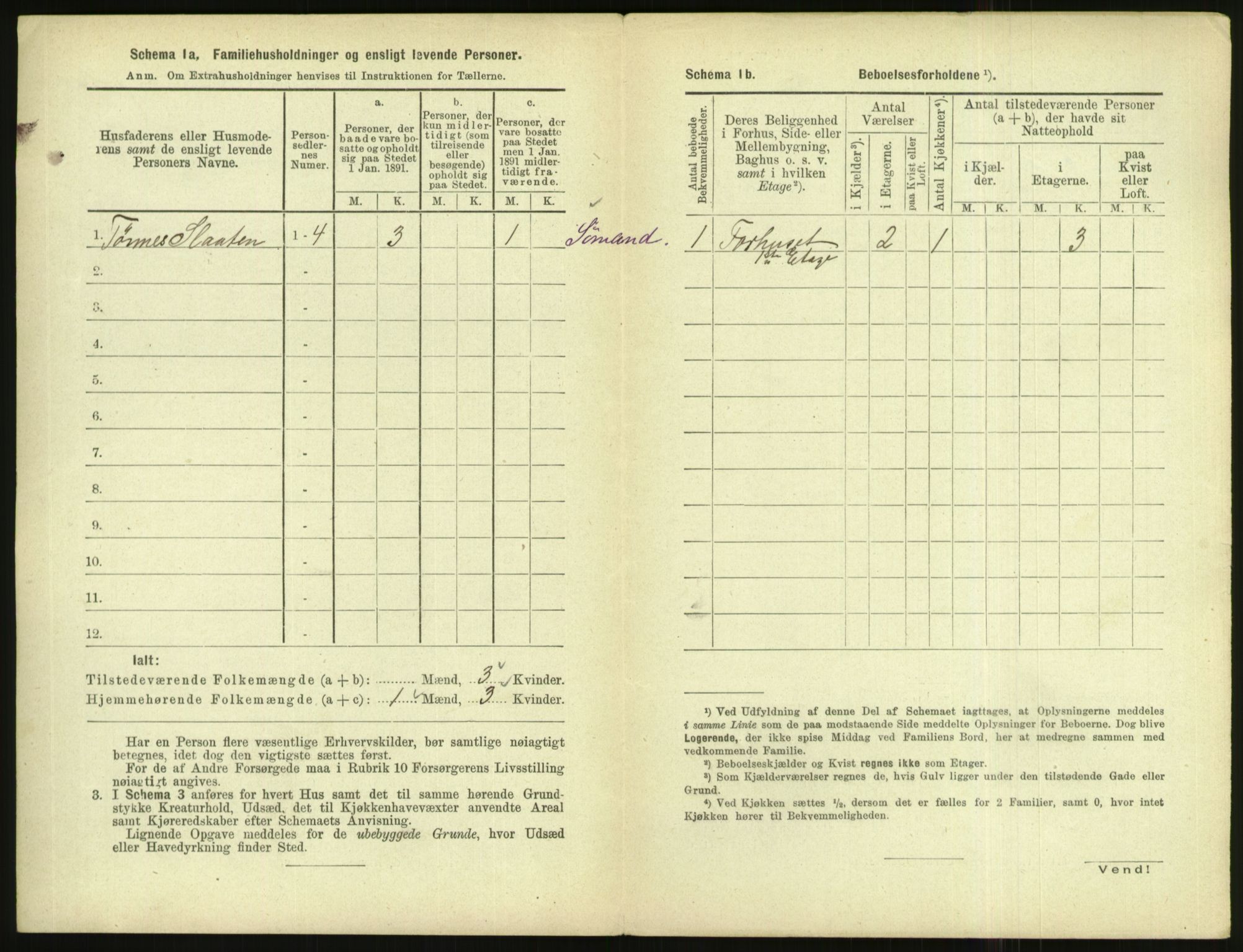 RA, 1891 census for 1004 Flekkefjord, 1891, p. 255