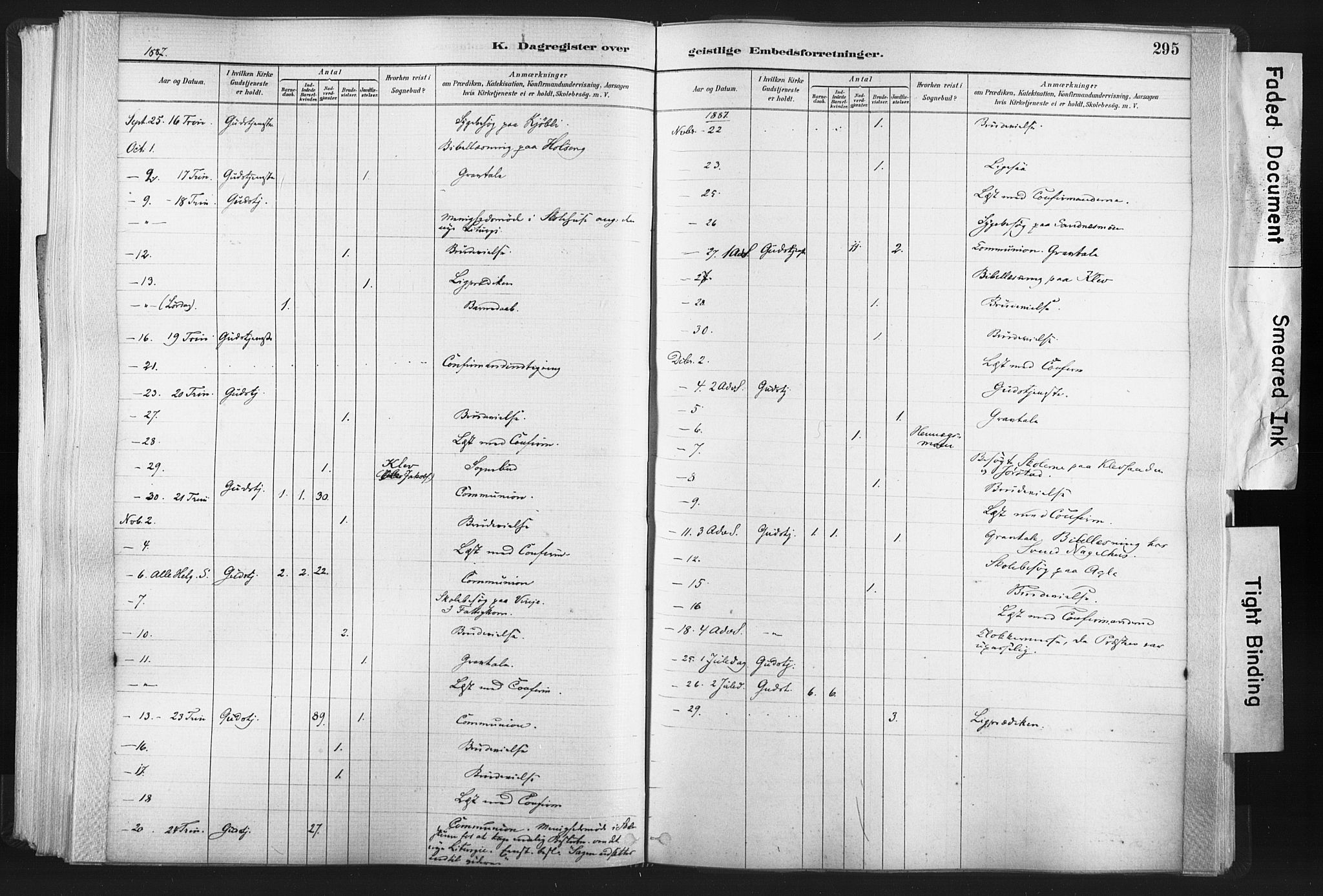 Ministerialprotokoller, klokkerbøker og fødselsregistre - Nord-Trøndelag, AV/SAT-A-1458/749/L0474: Parish register (official) no. 749A08, 1887-1903, p. 295