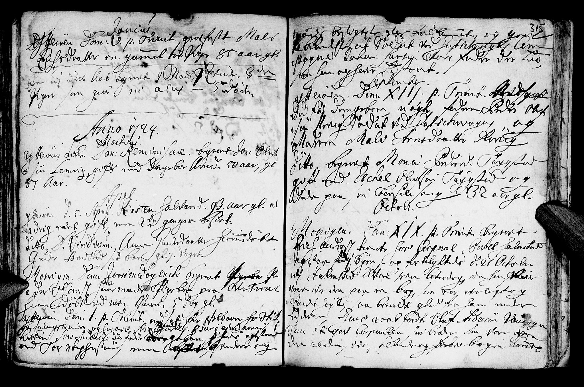 Ministerialprotokoller, klokkerbøker og fødselsregistre - Nord-Trøndelag, SAT/A-1458/722/L0215: Parish register (official) no. 722A02, 1718-1755, p. 315
