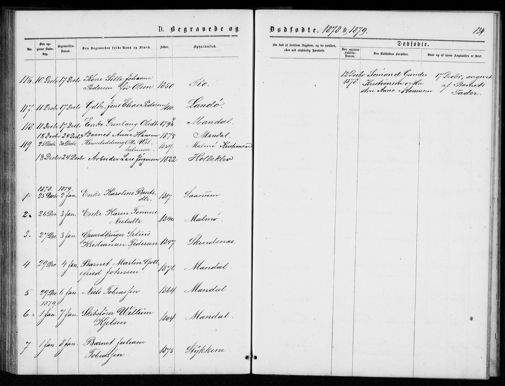 Mandal sokneprestkontor, SAK/1111-0030/F/Fb/Fba/L0010: Parish register (copy) no. B 4, 1876-1880, p. 134