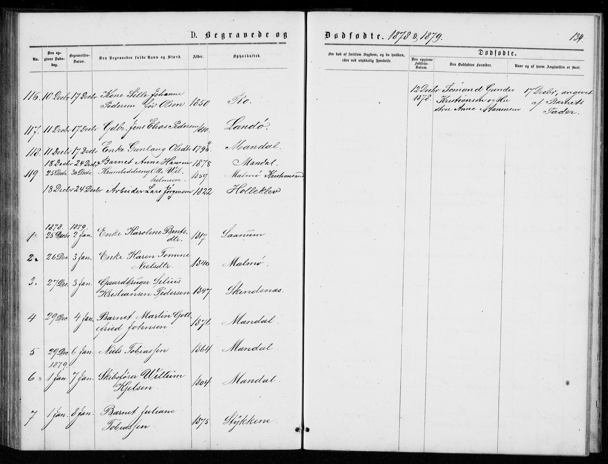 Mandal sokneprestkontor, AV/SAK-1111-0030/F/Fb/Fba/L0010: Parish register (copy) no. B 4, 1876-1880, p. 134