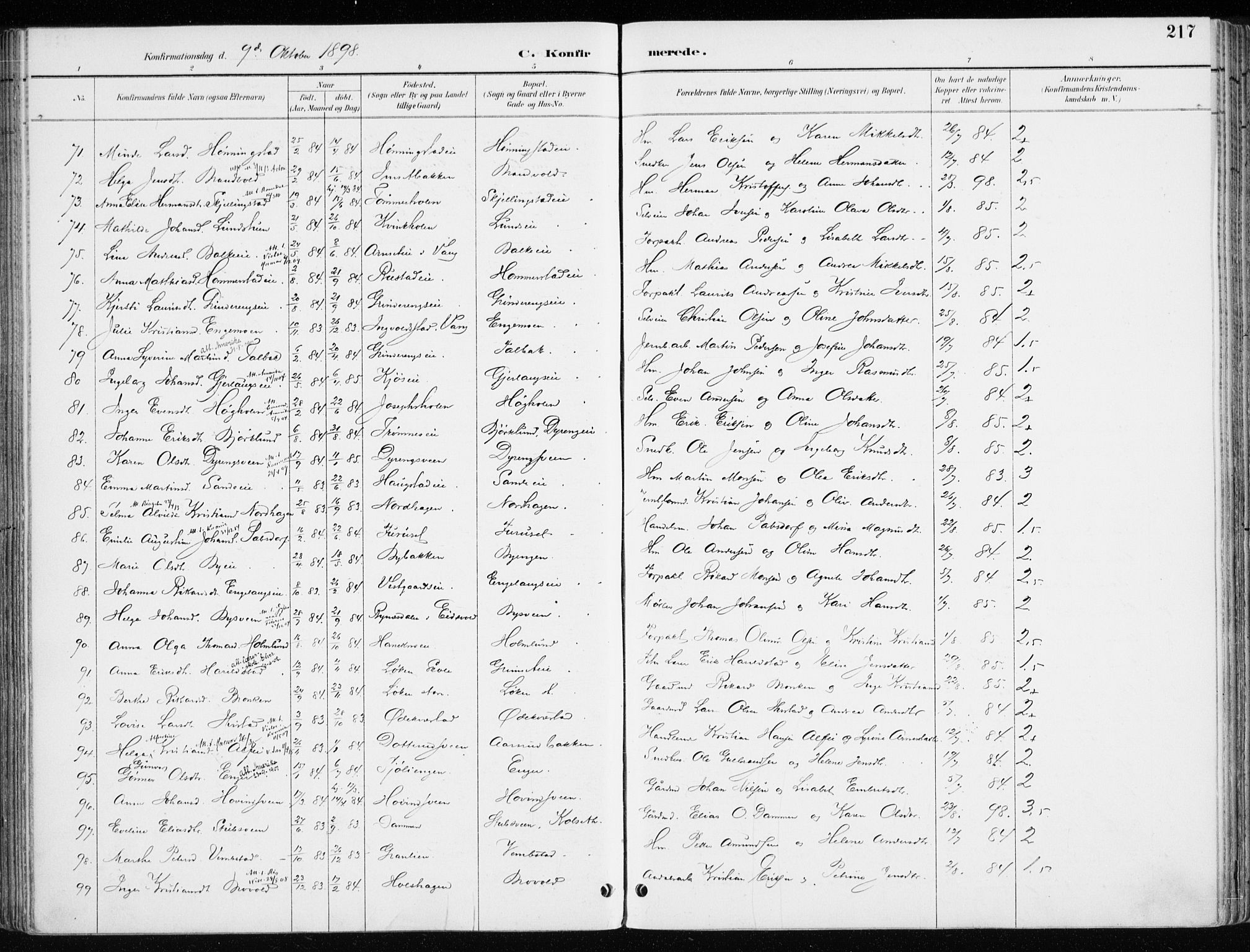 Løten prestekontor, AV/SAH-PREST-022/K/Ka/L0010: Parish register (official) no. 10, 1892-1907, p. 217