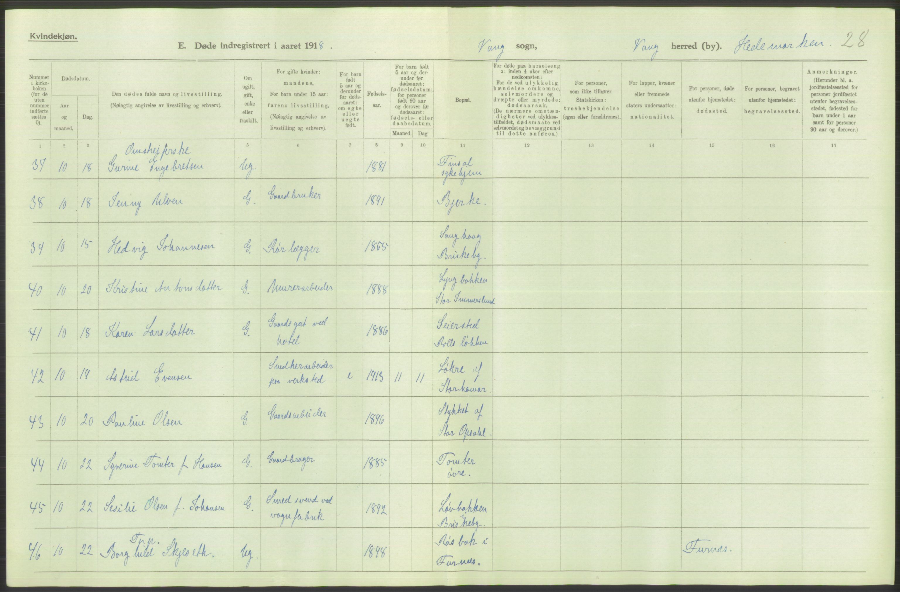 Statistisk sentralbyrå, Sosiodemografiske emner, Befolkning, AV/RA-S-2228/D/Df/Dfb/Dfbh/L0014: Hedemarkens fylke: Døde. Bygder og byer., 1918, p. 216