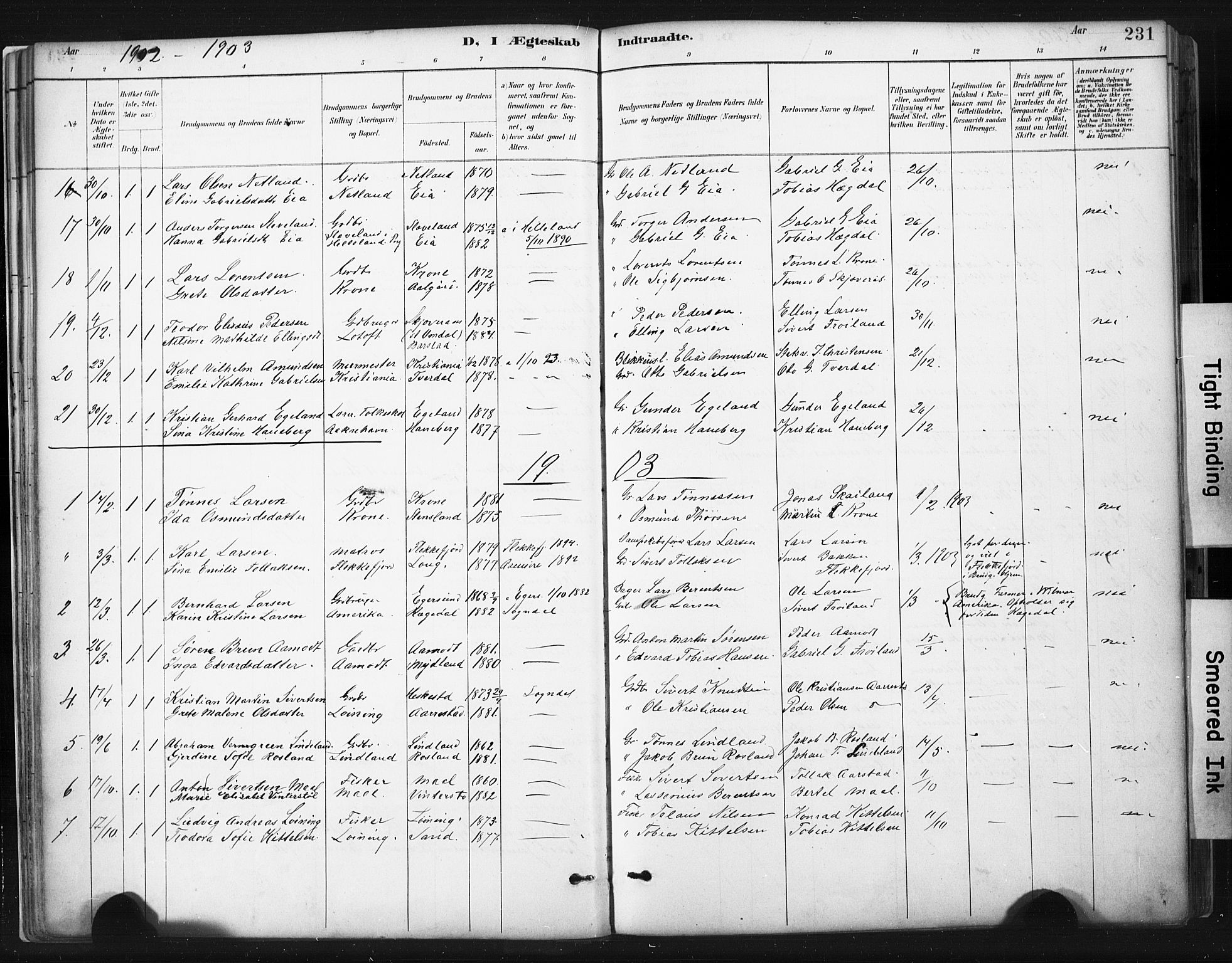 Sokndal sokneprestkontor, SAST/A-101808: Parish register (official) no. A 11.2, 1887-1905, p. 231