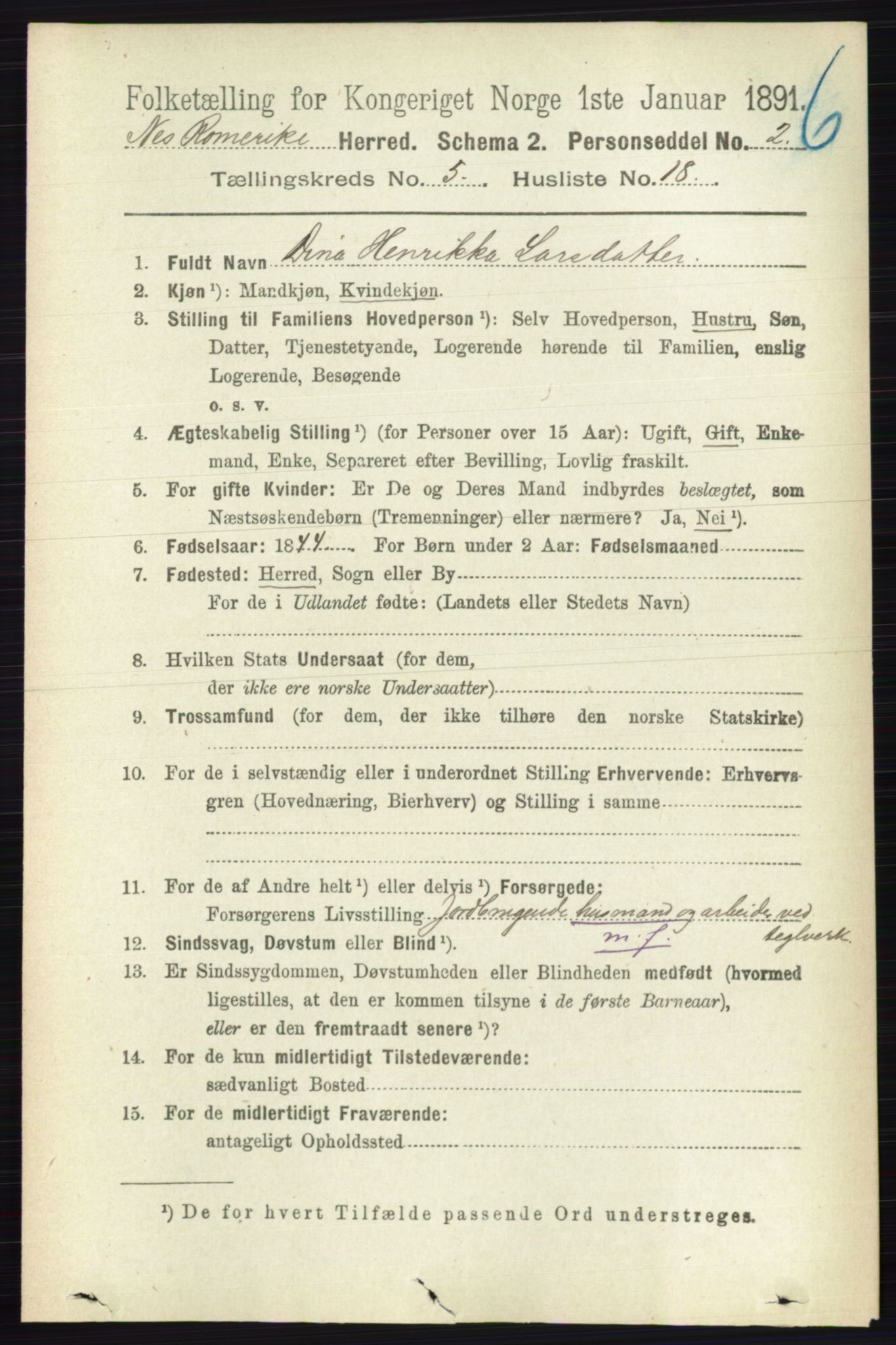 RA, 1891 census for 0236 Nes, 1891, p. 2890