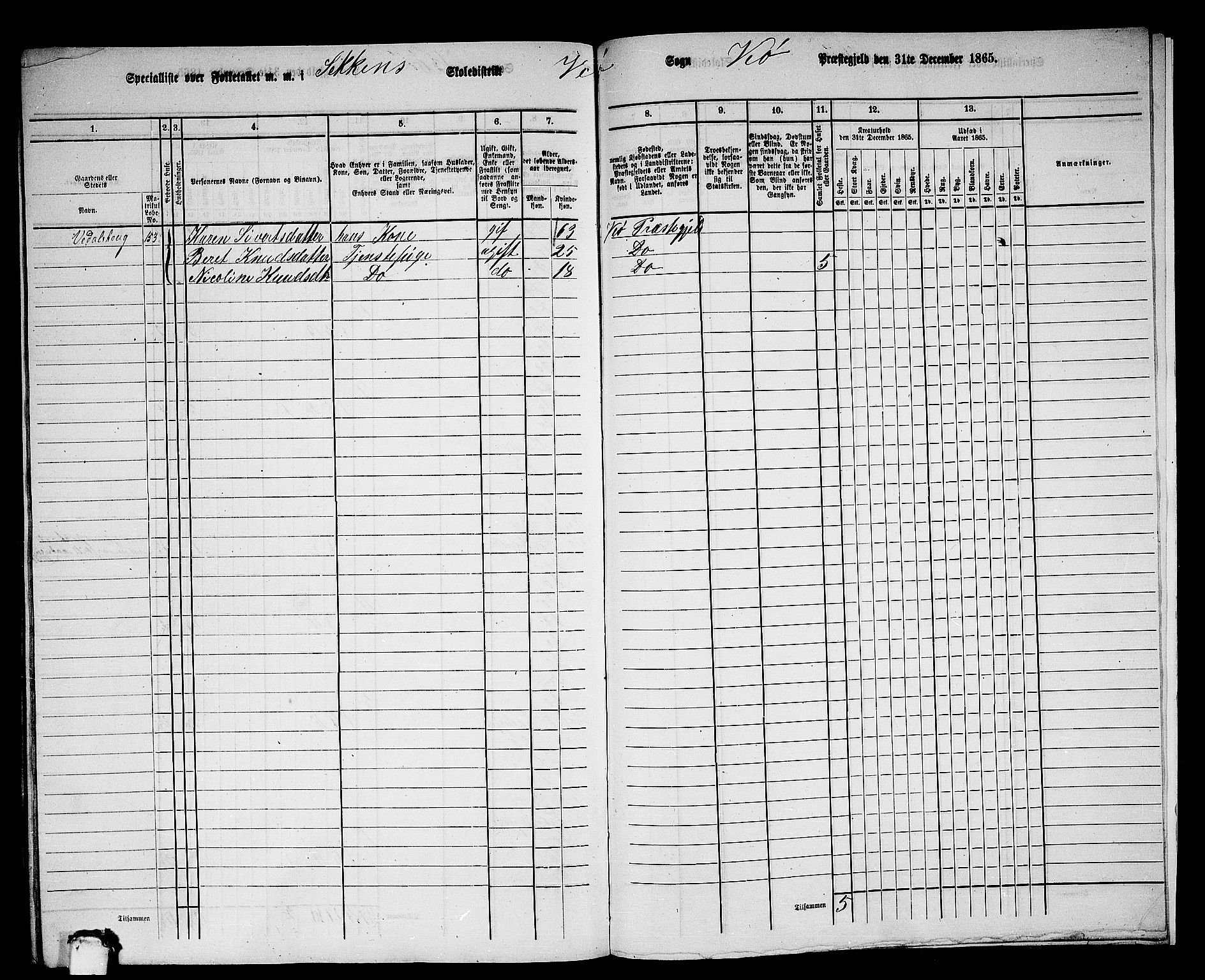 RA, 1865 census for Veøy, 1865, p. 96