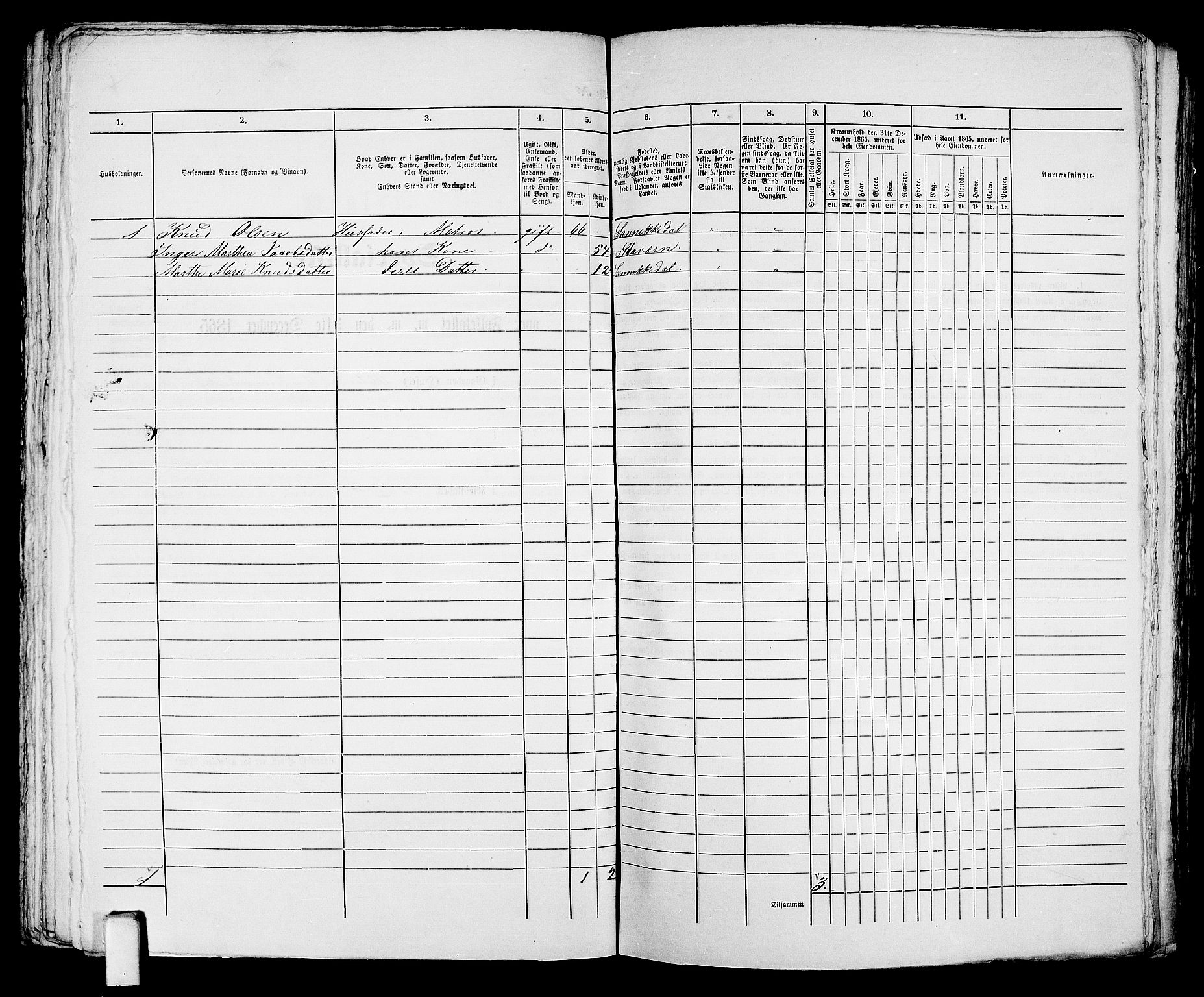 RA, 1865 census for Kragerø/Kragerø, 1865, p. 200