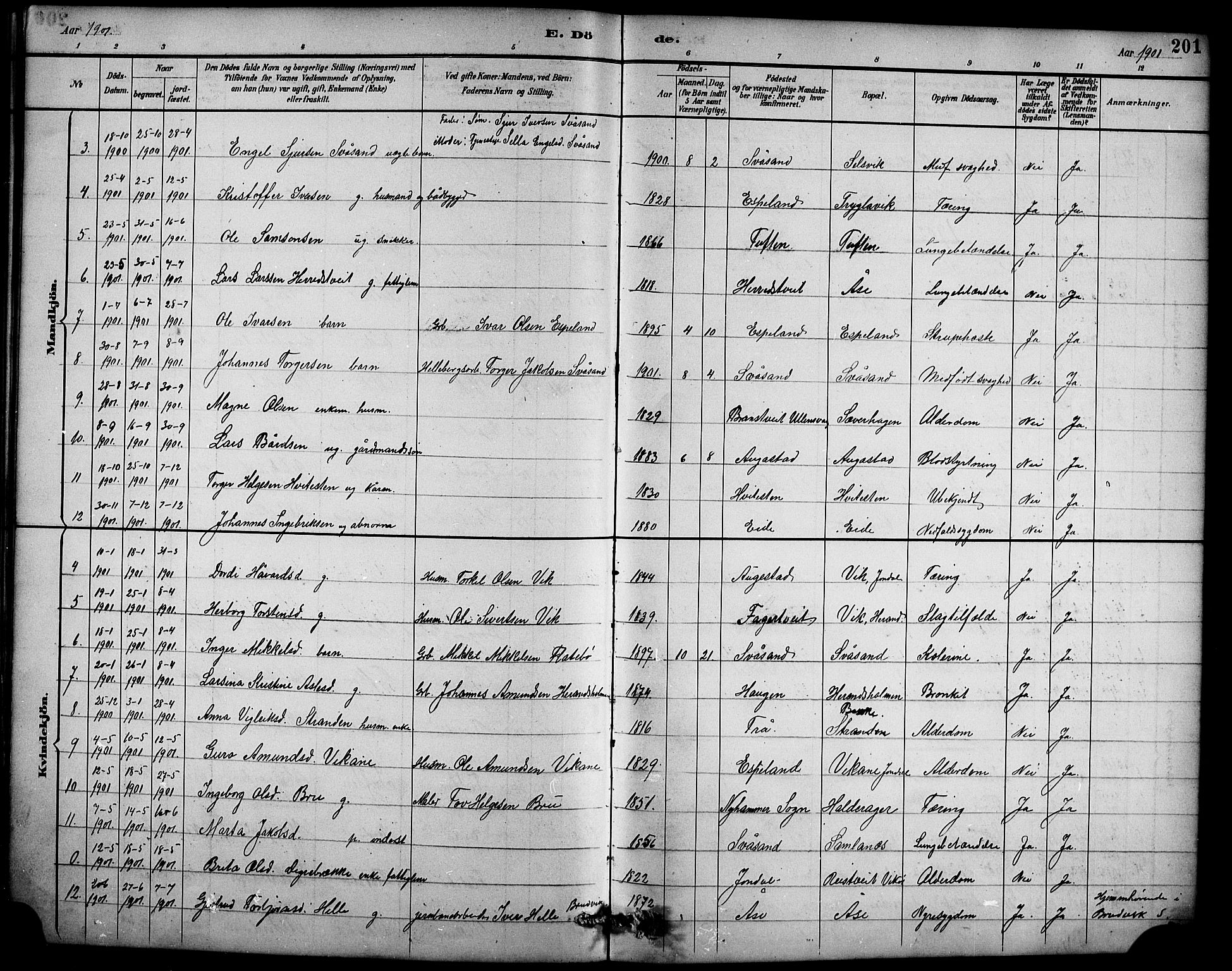 Ullensvang sokneprestembete, AV/SAB-A-78701/H/Hab: Parish register (copy) no. D 1, 1891-1908, p. 201