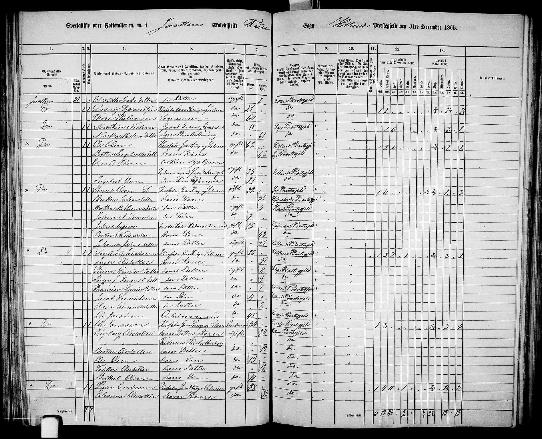 RA, 1865 census for Hetland, 1865, p. 99