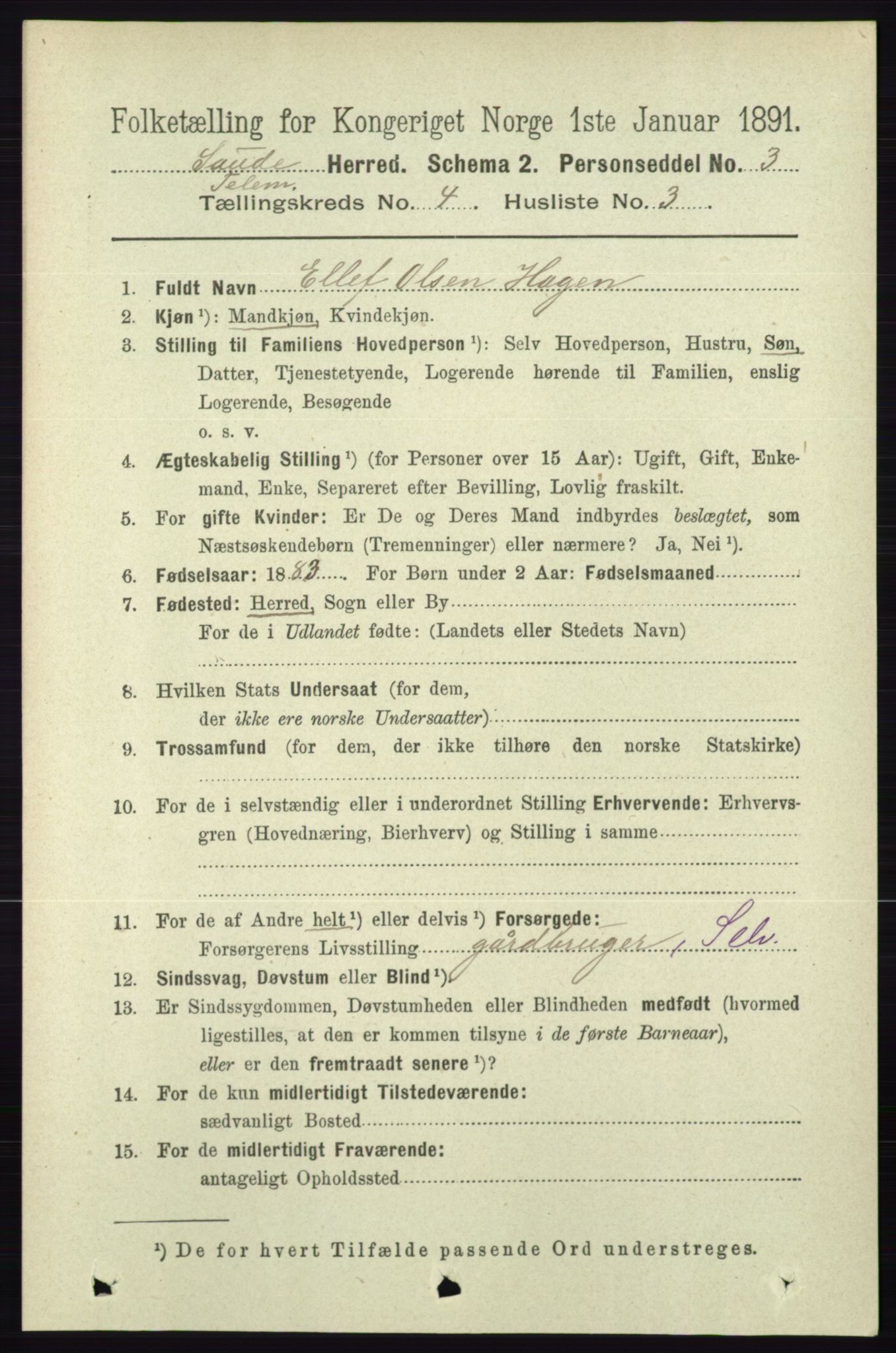 RA, 1891 census for 0822 Sauherad, 1891, p. 1108