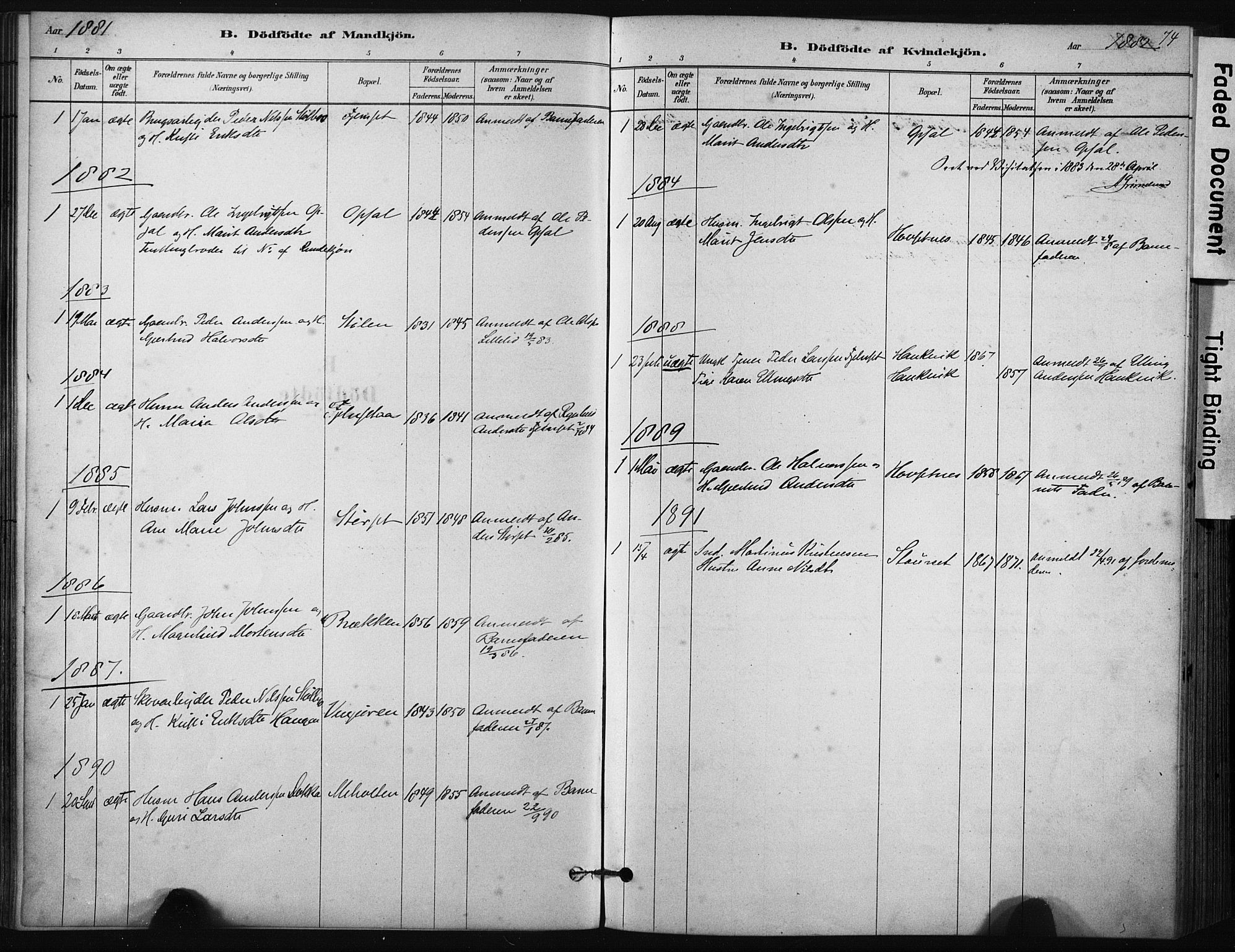 Ministerialprotokoller, klokkerbøker og fødselsregistre - Sør-Trøndelag, SAT/A-1456/631/L0512: Parish register (official) no. 631A01, 1879-1912, p. 74