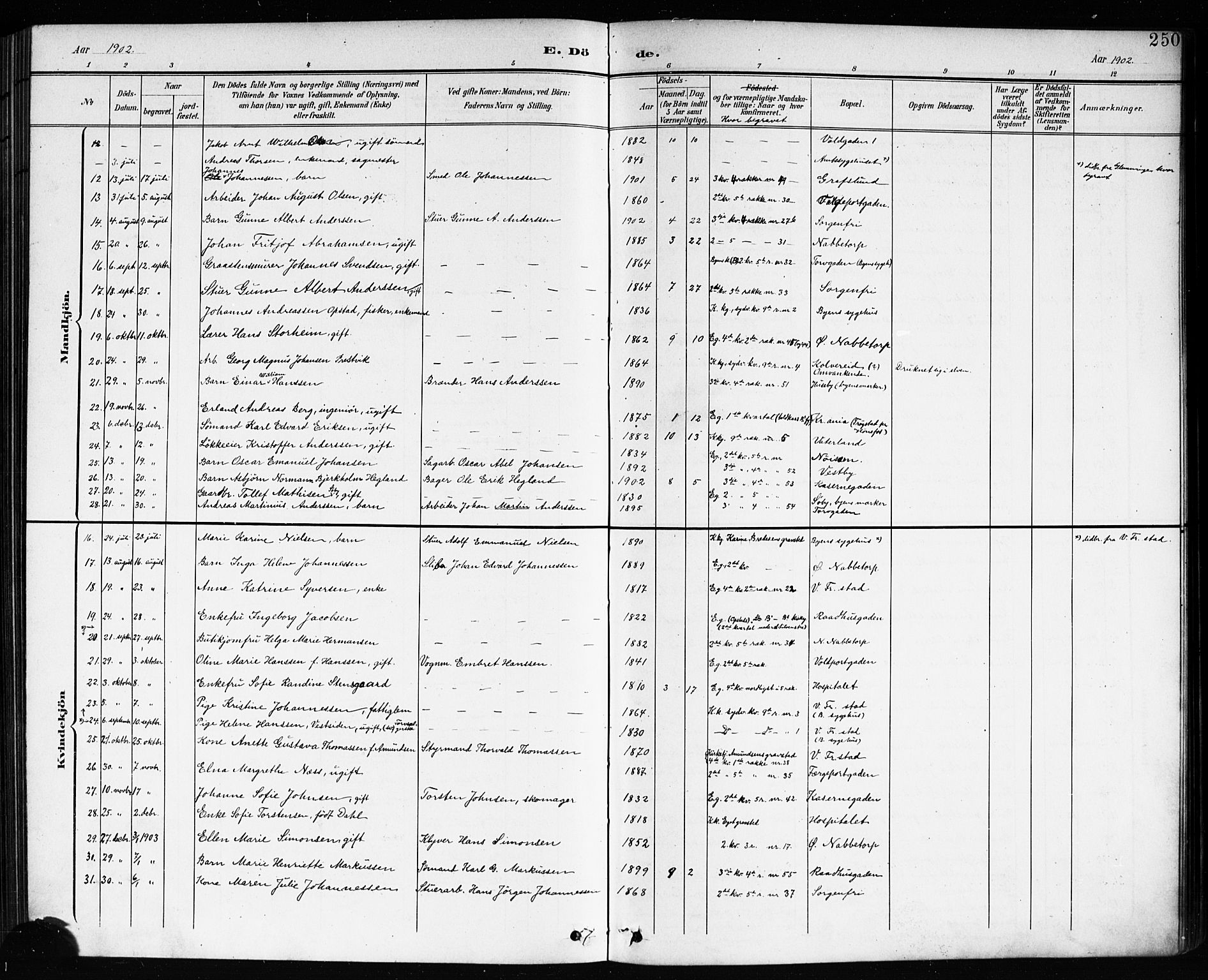 Østre Fredrikstad prestekontor Kirkebøker, AV/SAO-A-10907/G/Ga/L0002: Parish register (copy) no. 2, 1900-1919, p. 250