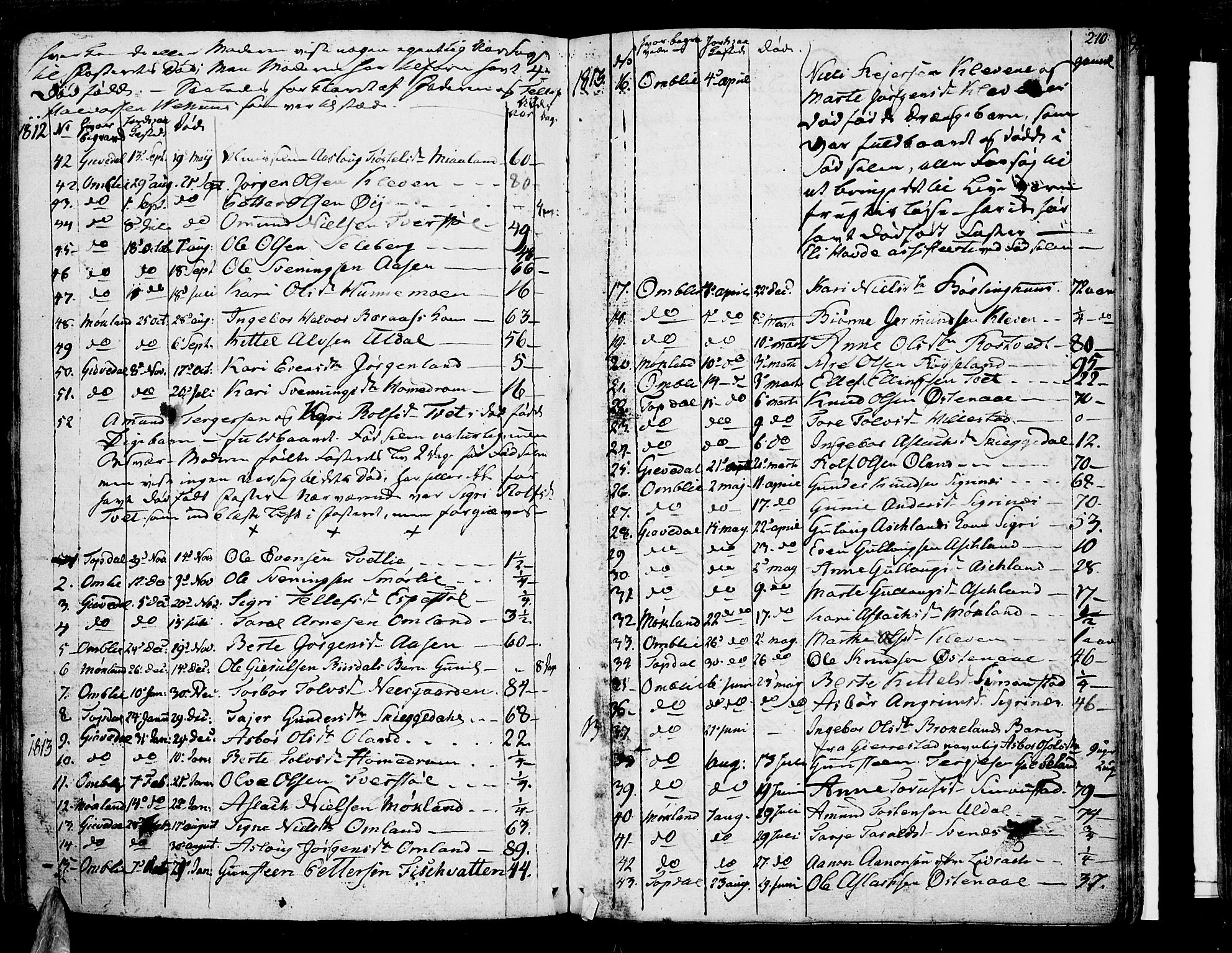 Åmli sokneprestkontor, AV/SAK-1111-0050/F/Fa/Fac/L0005: Parish register (official) no. A 5, 1796-1816, p. 210