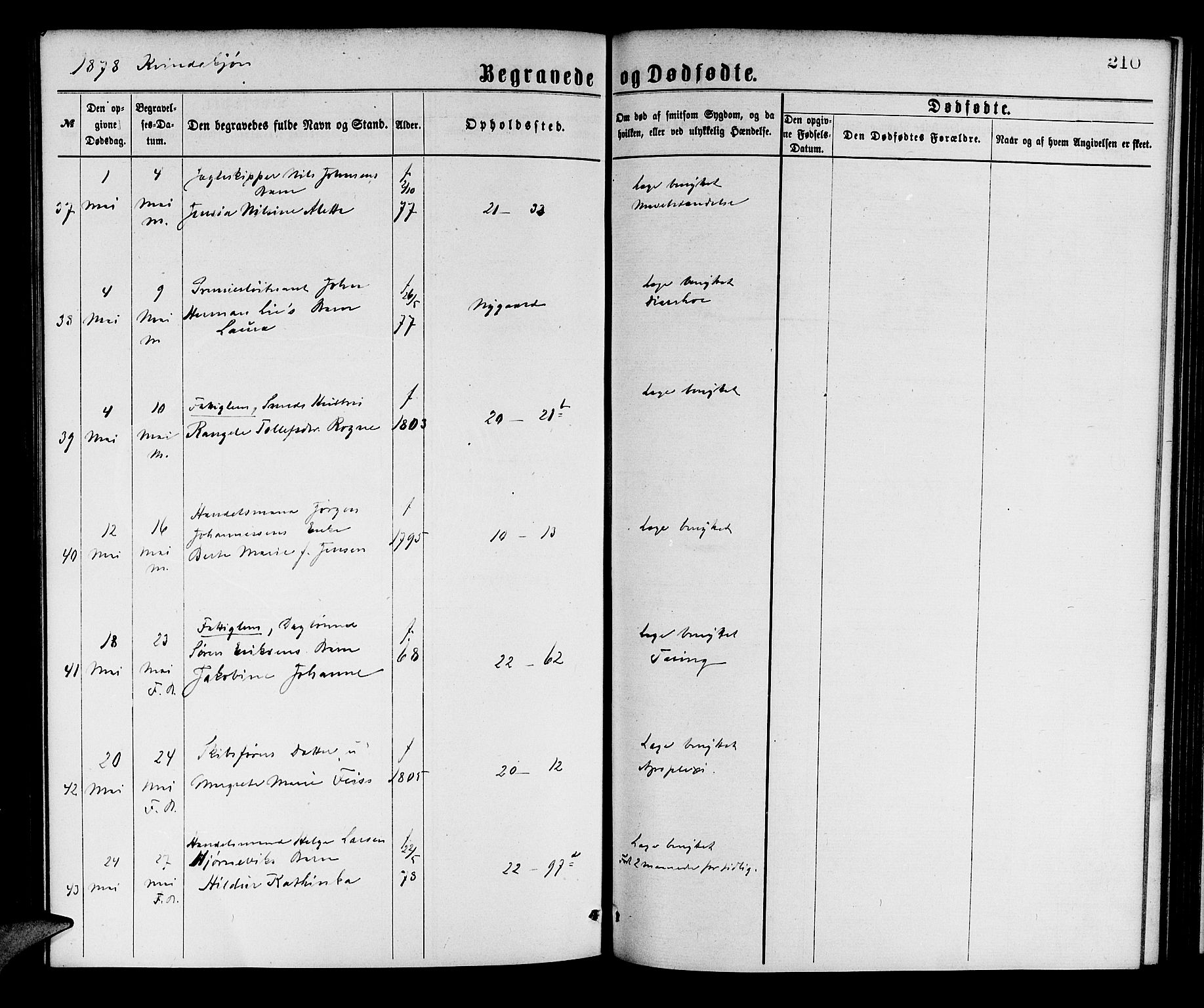 Korskirken sokneprestembete, AV/SAB-A-76101/H/Hab: Parish register (copy) no. E 3, 1871-1883, p. 210