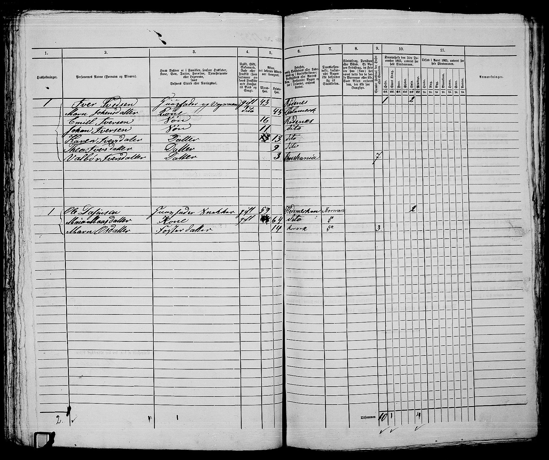 RA, 1865 census for Kristiania, 1865, p. 3915